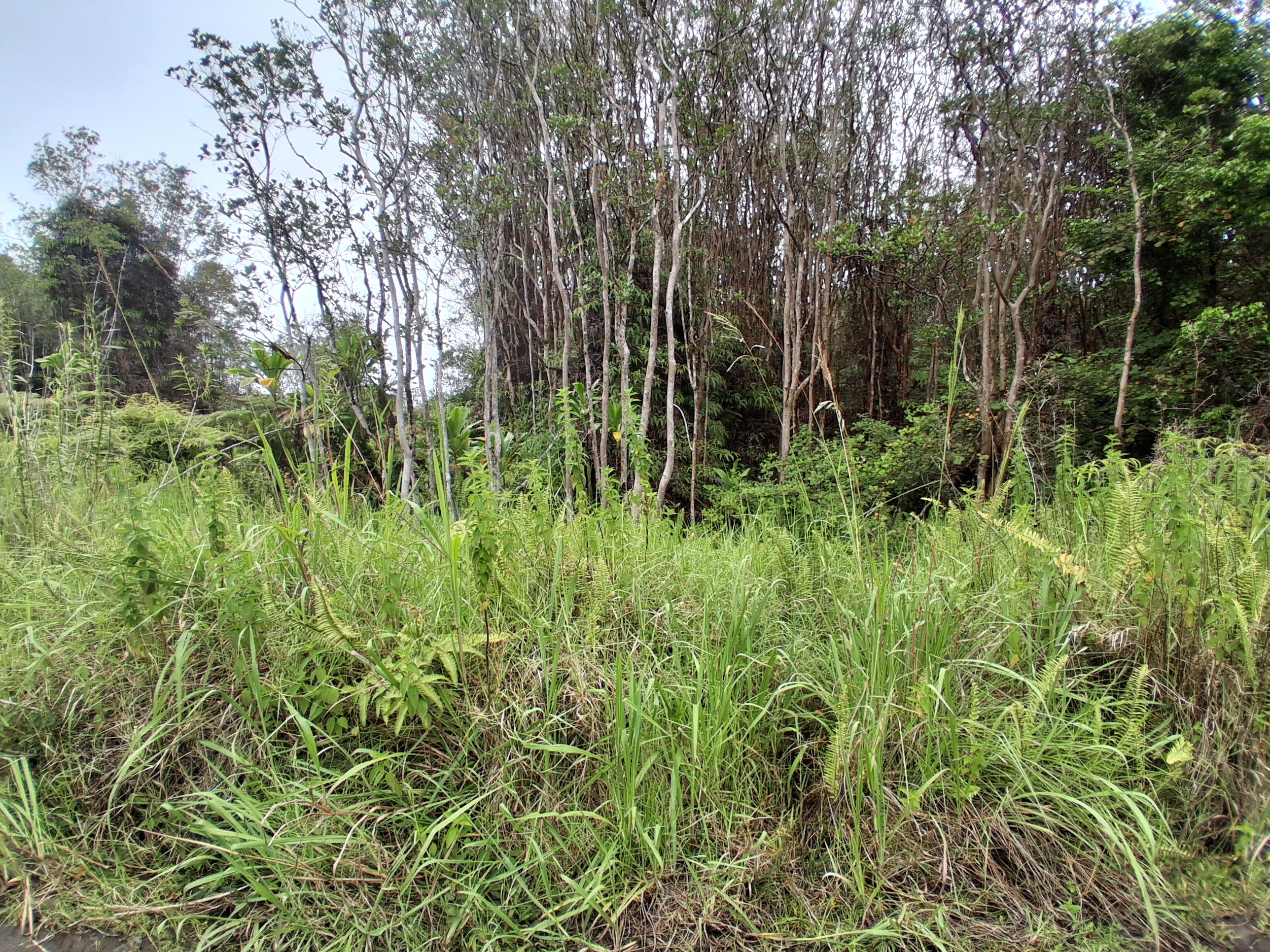 Road 7 Property Photo 1
