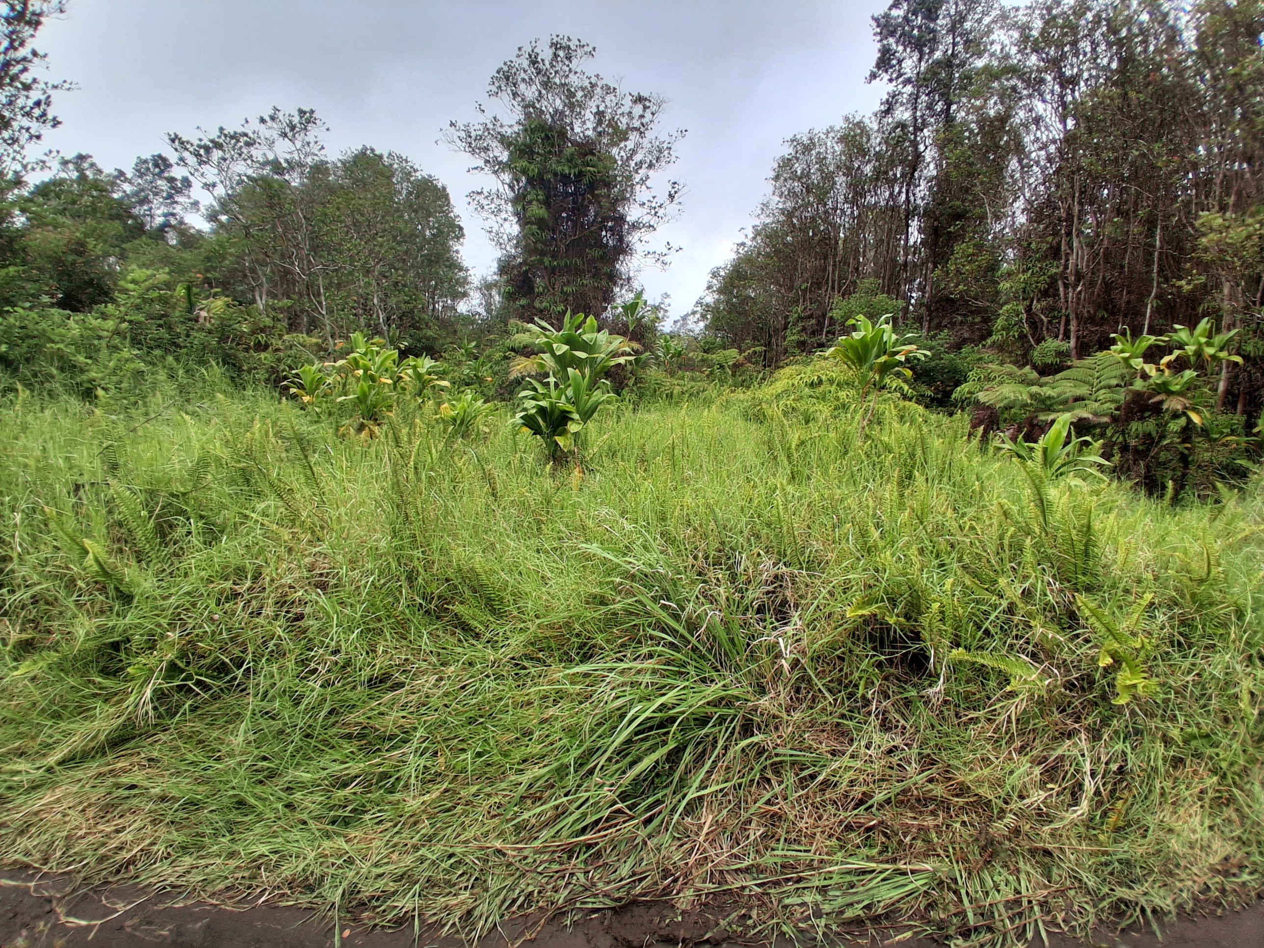 Road 7 Property Photo 2