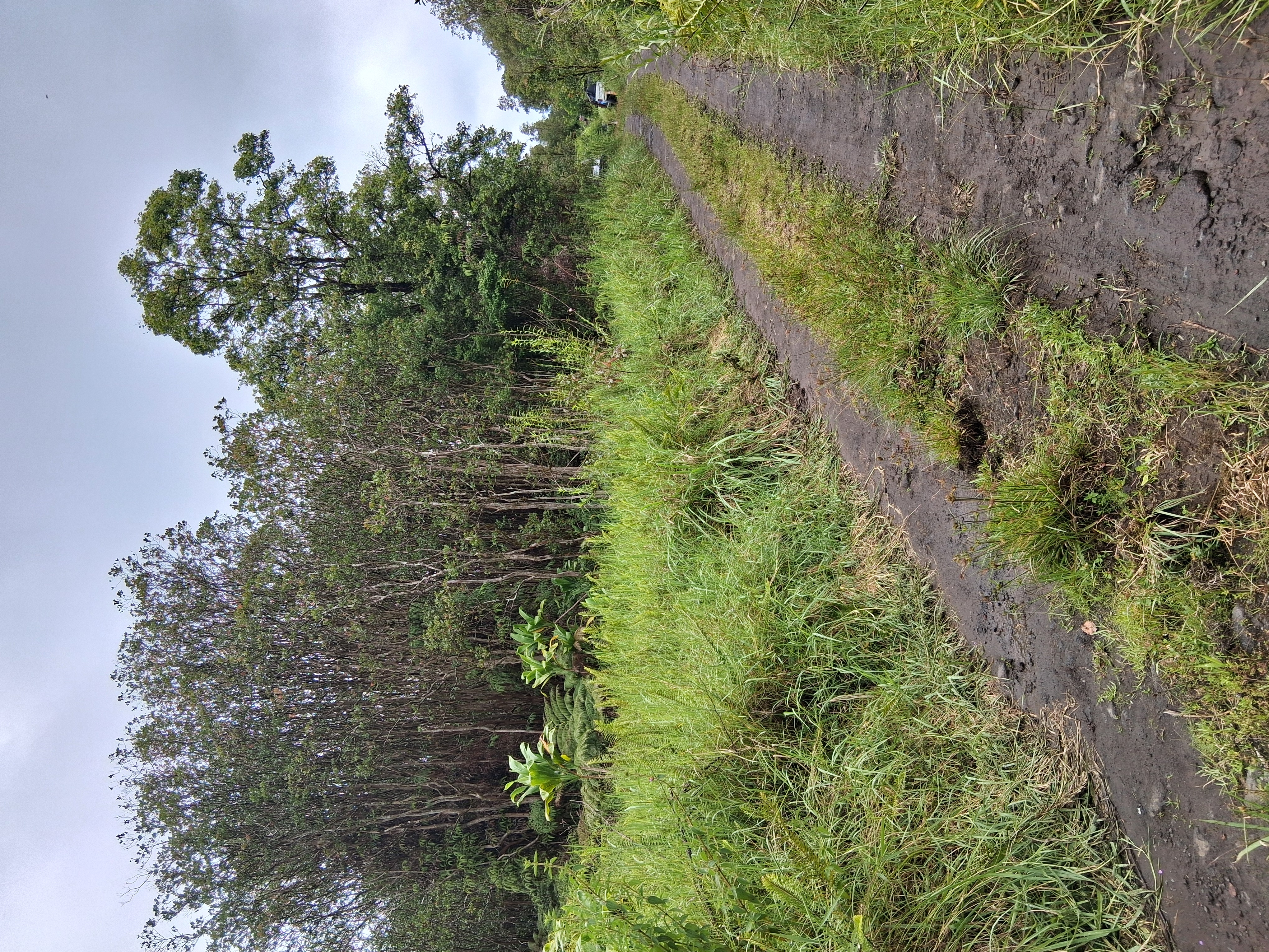 Road 7 Property Photo 3