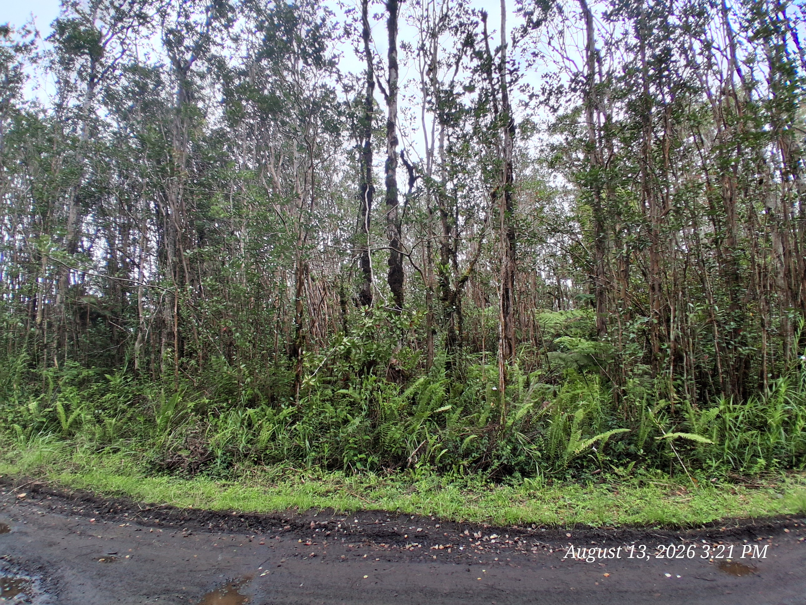 Palainui Ave Property Photo 1