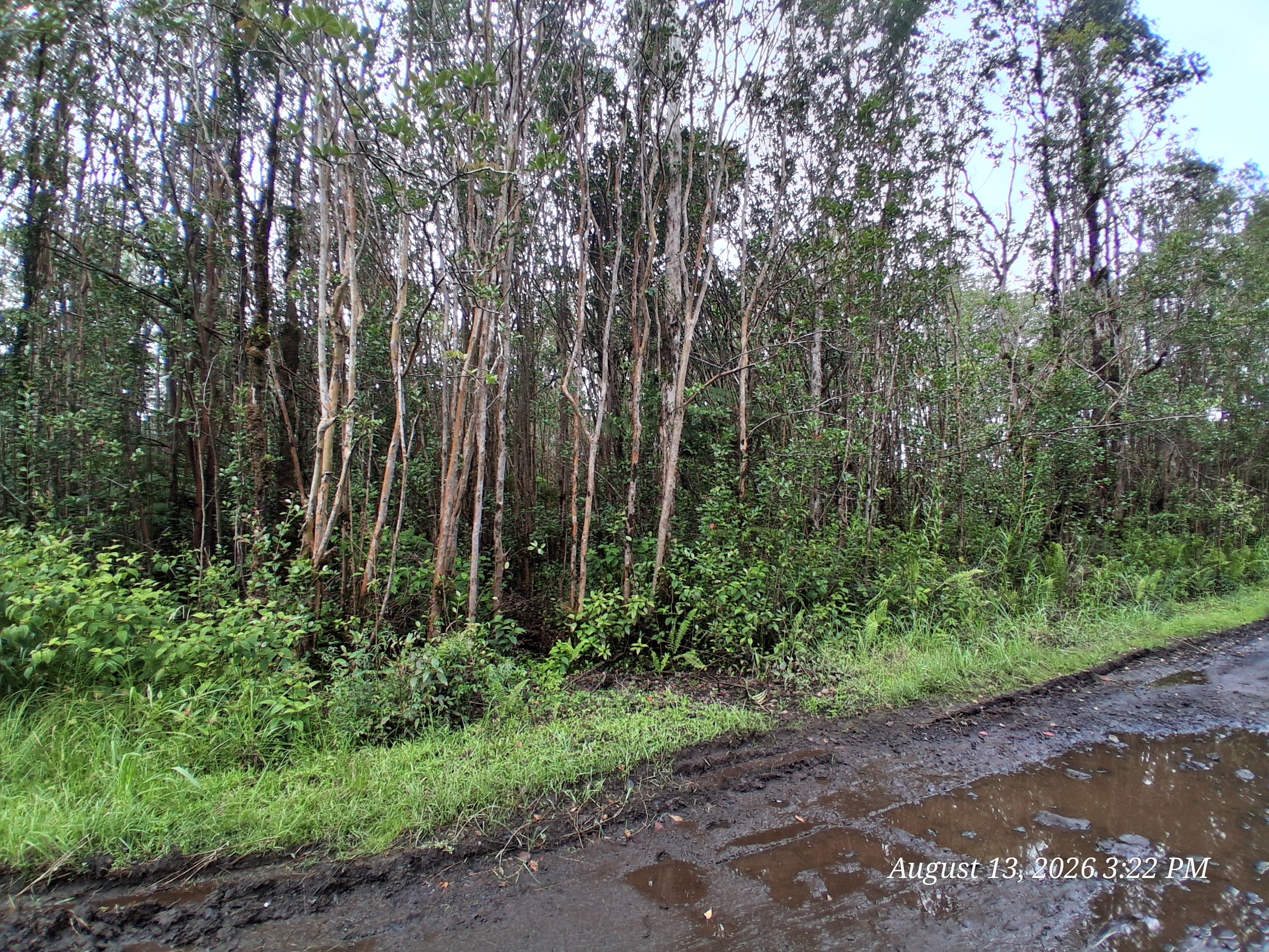 Palainui Ave Property Photo 2