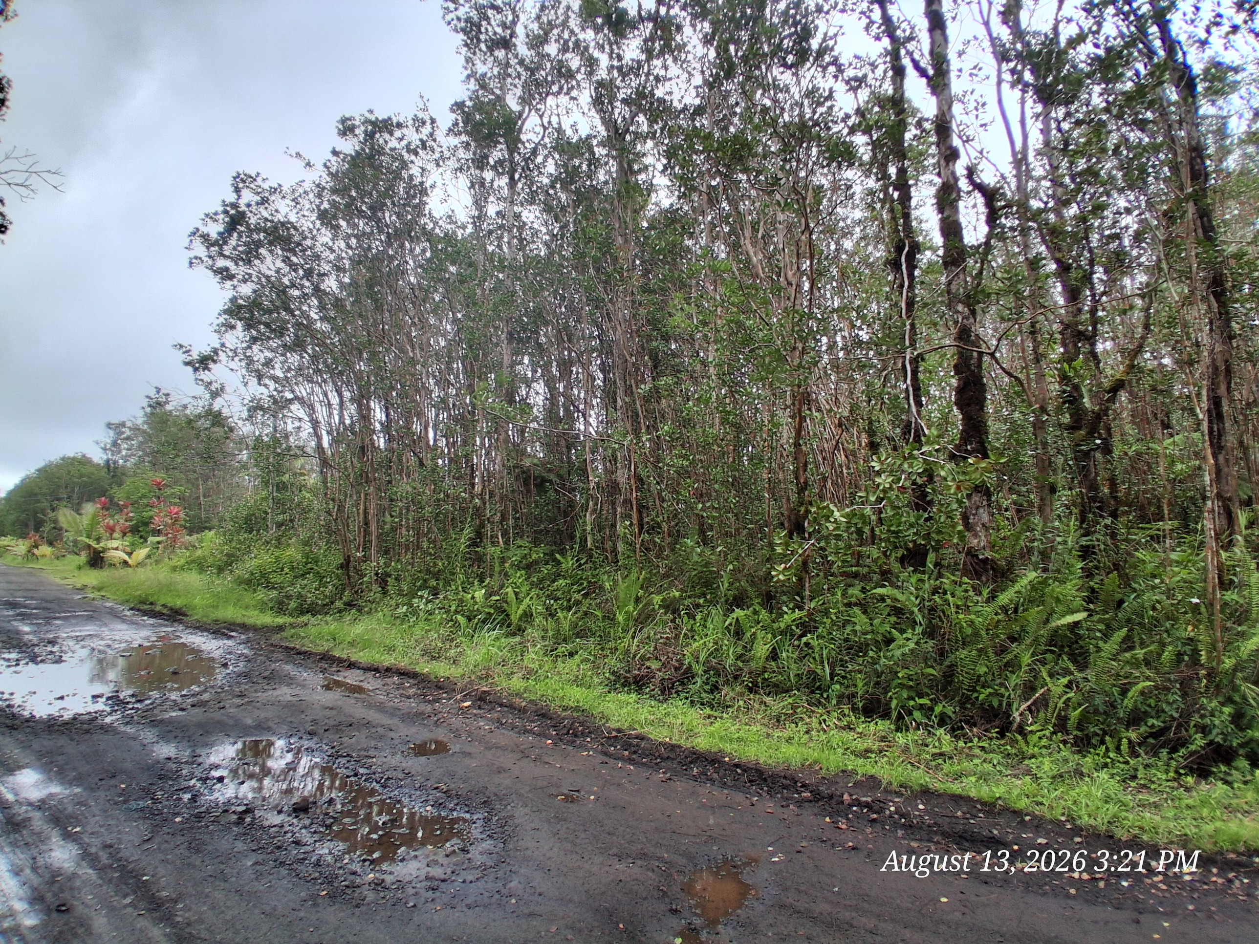 Palainui Ave Property Photo 3
