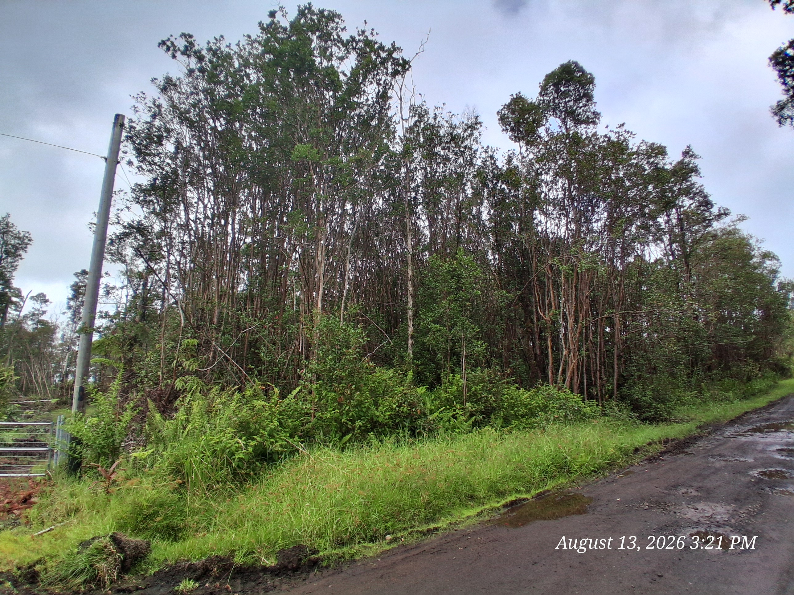 Palainui Ave Property Photo 4