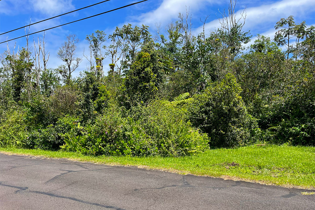 Maile St Property Photo 10