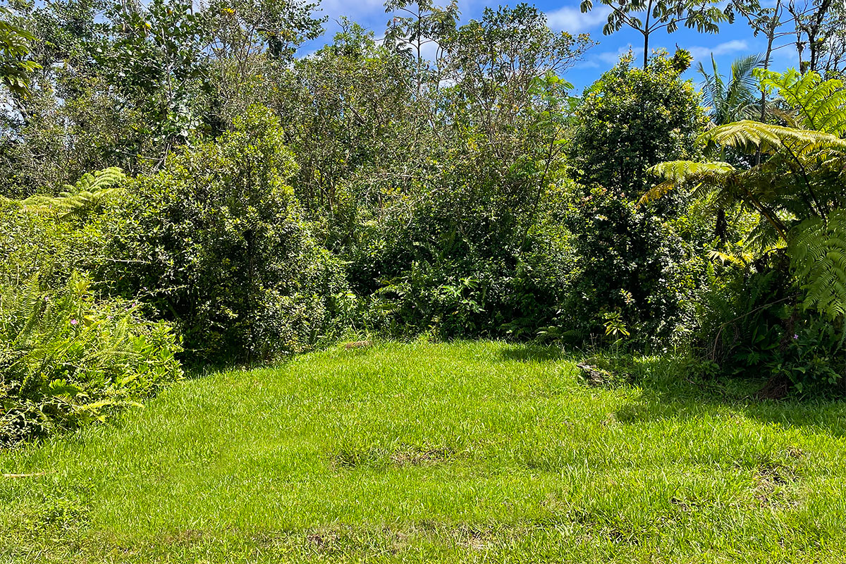 Maile St Property Photo 12