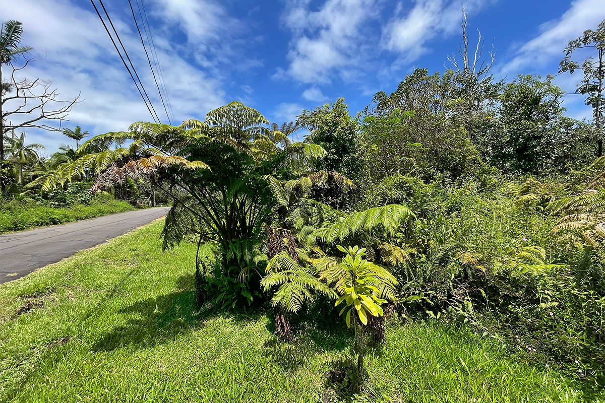 Maile St Property Photo 16