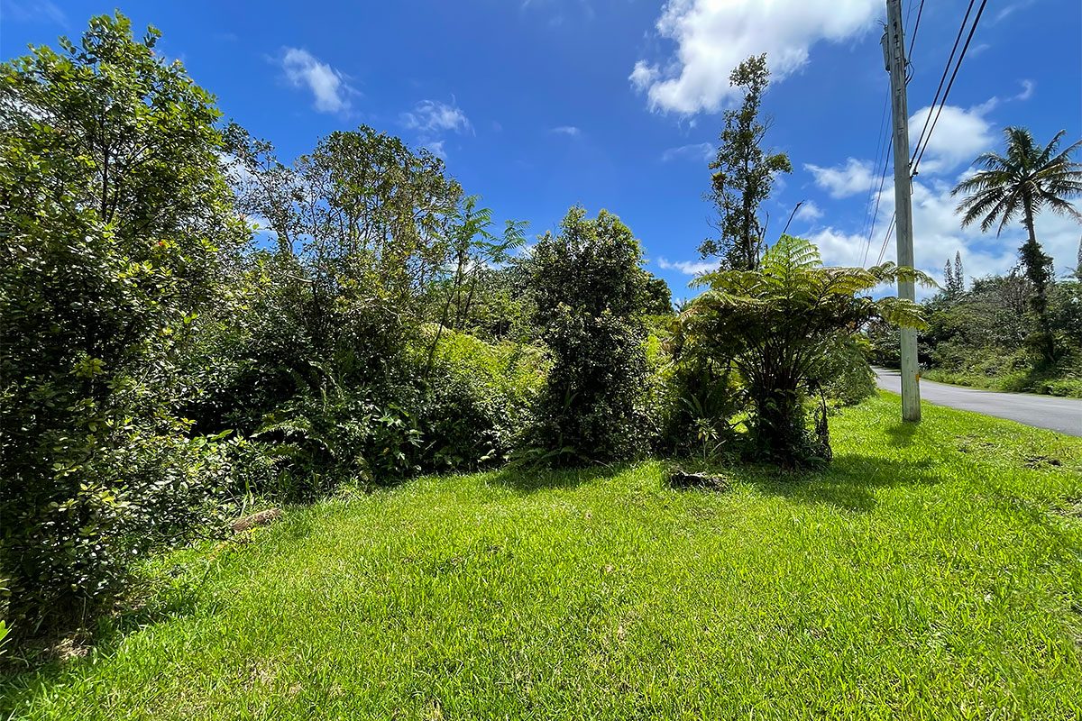 Maile St Property Photo 17