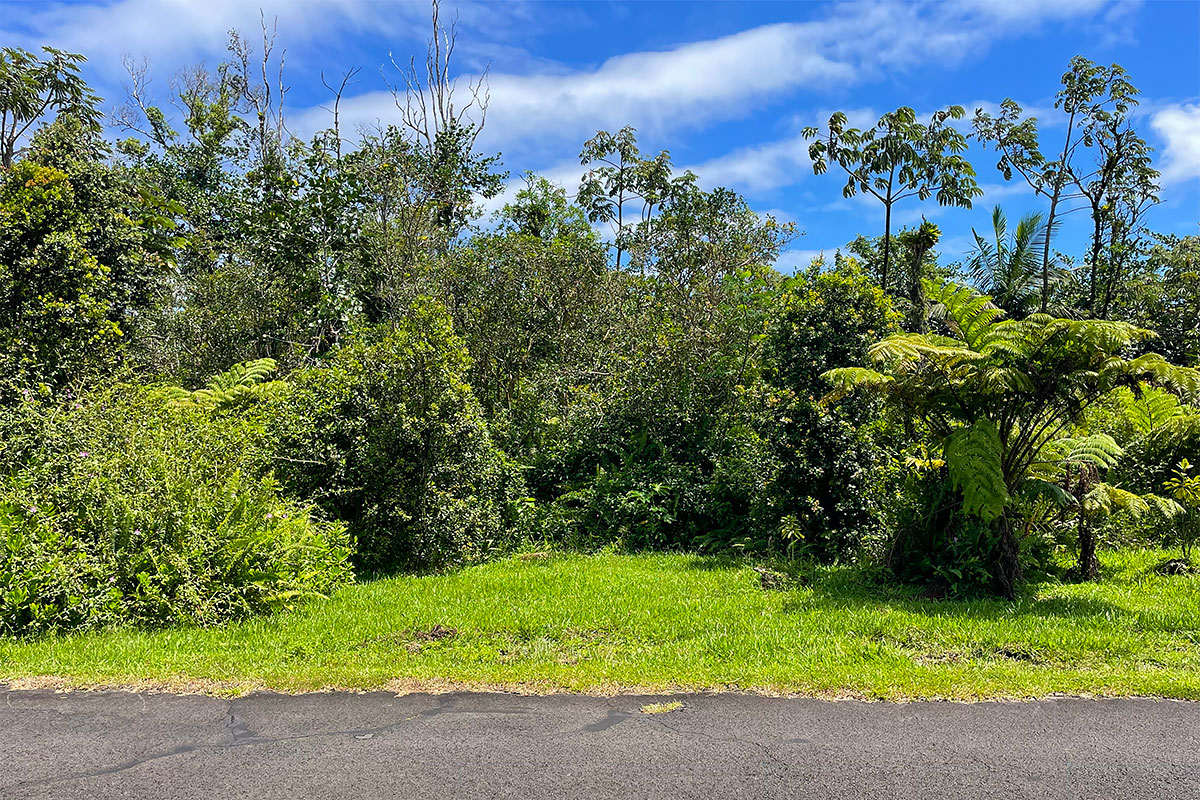 Maile St Property Photo 21