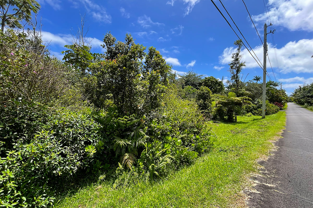 Maile St Property Photo 22
