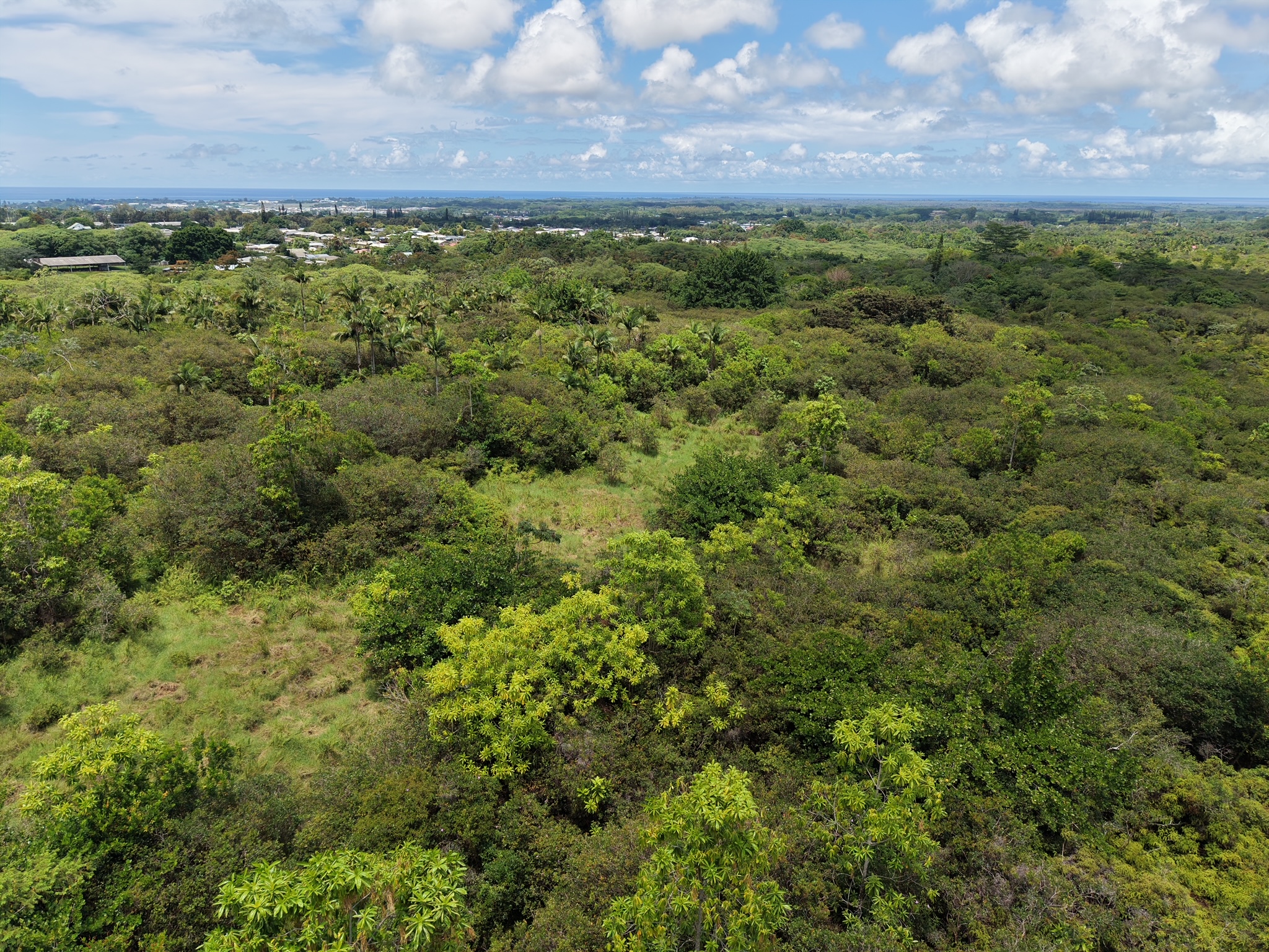 280 Laula Rd Property Photo 4