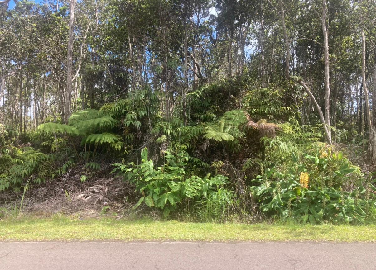 Mokuna St Property Photo 1