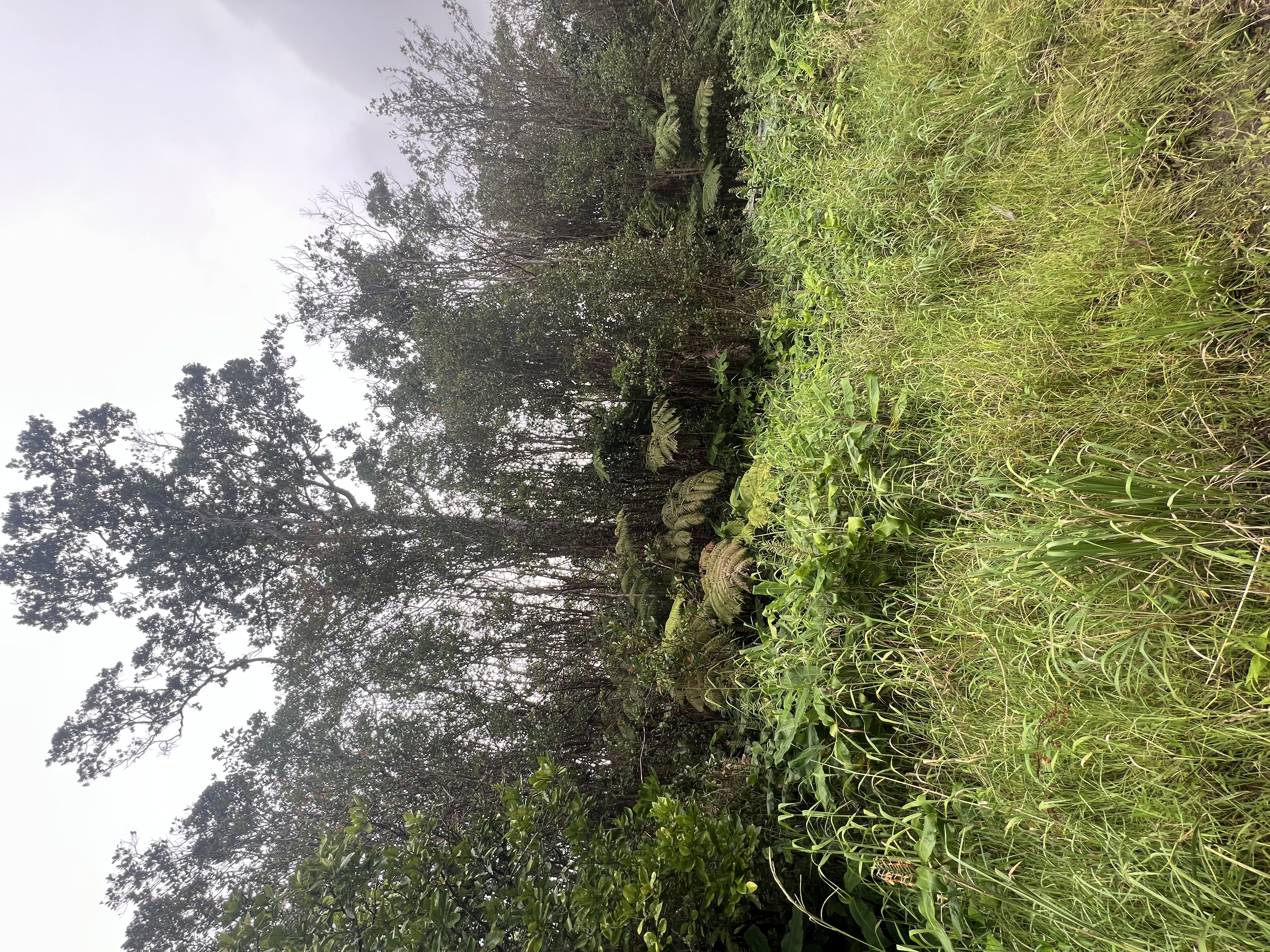 18-2319 Kakahiaka Uhane St Property Photo 1