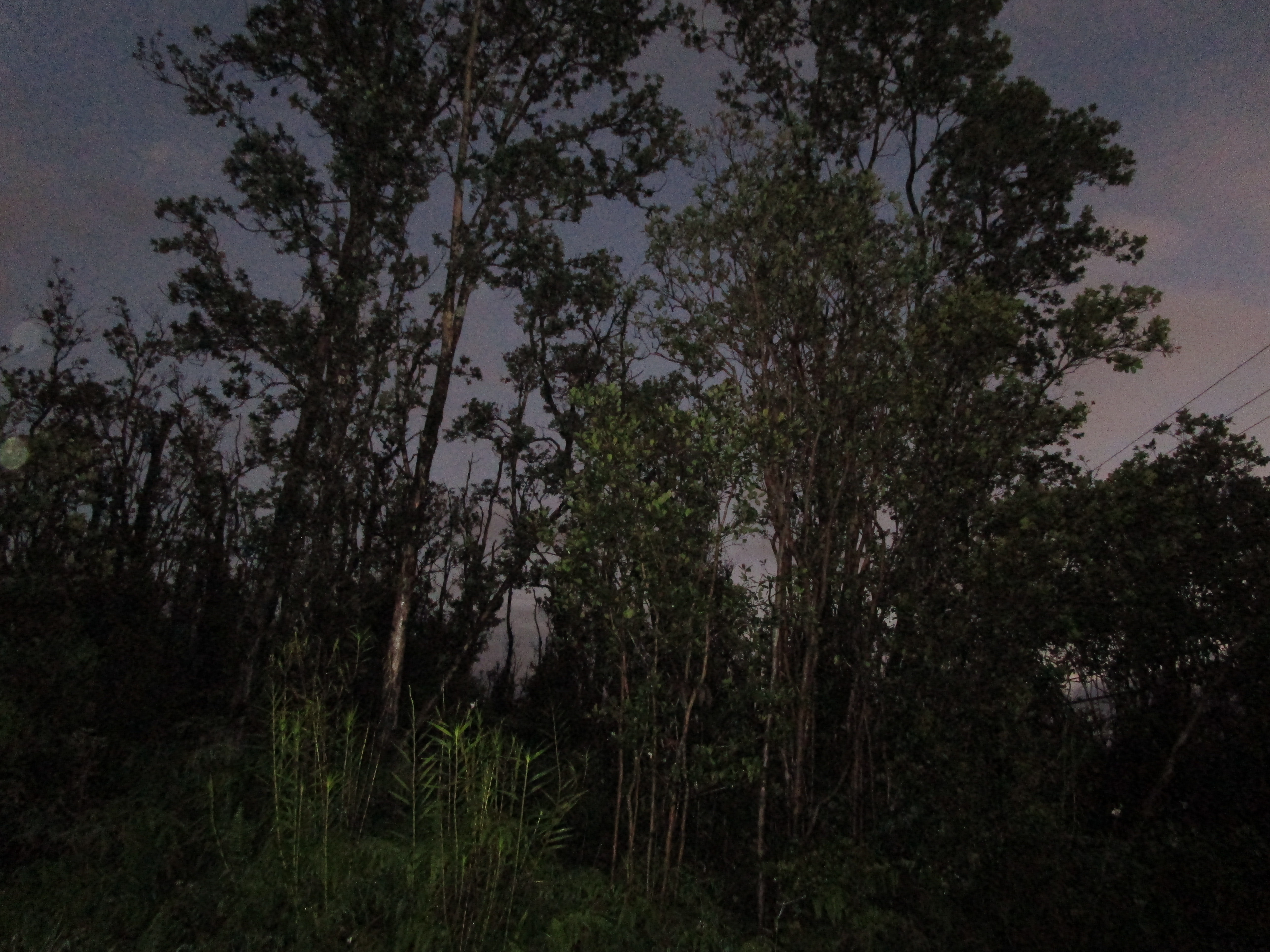 Noe Kuahiwi Rd Property Photo 1