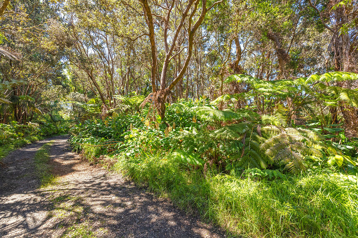 Address Unavailable Property Photo 4