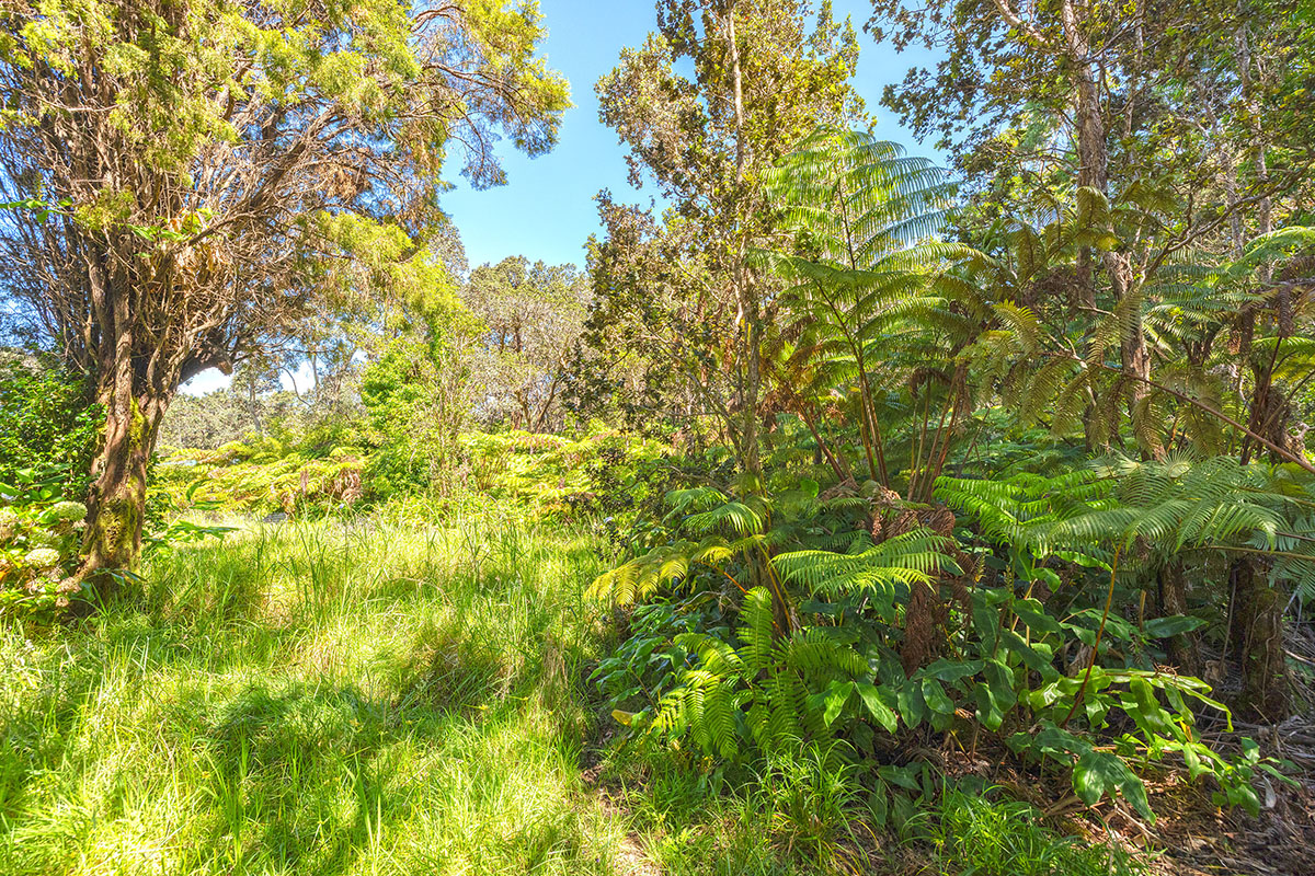 Address Unavailable Property Photo 8
