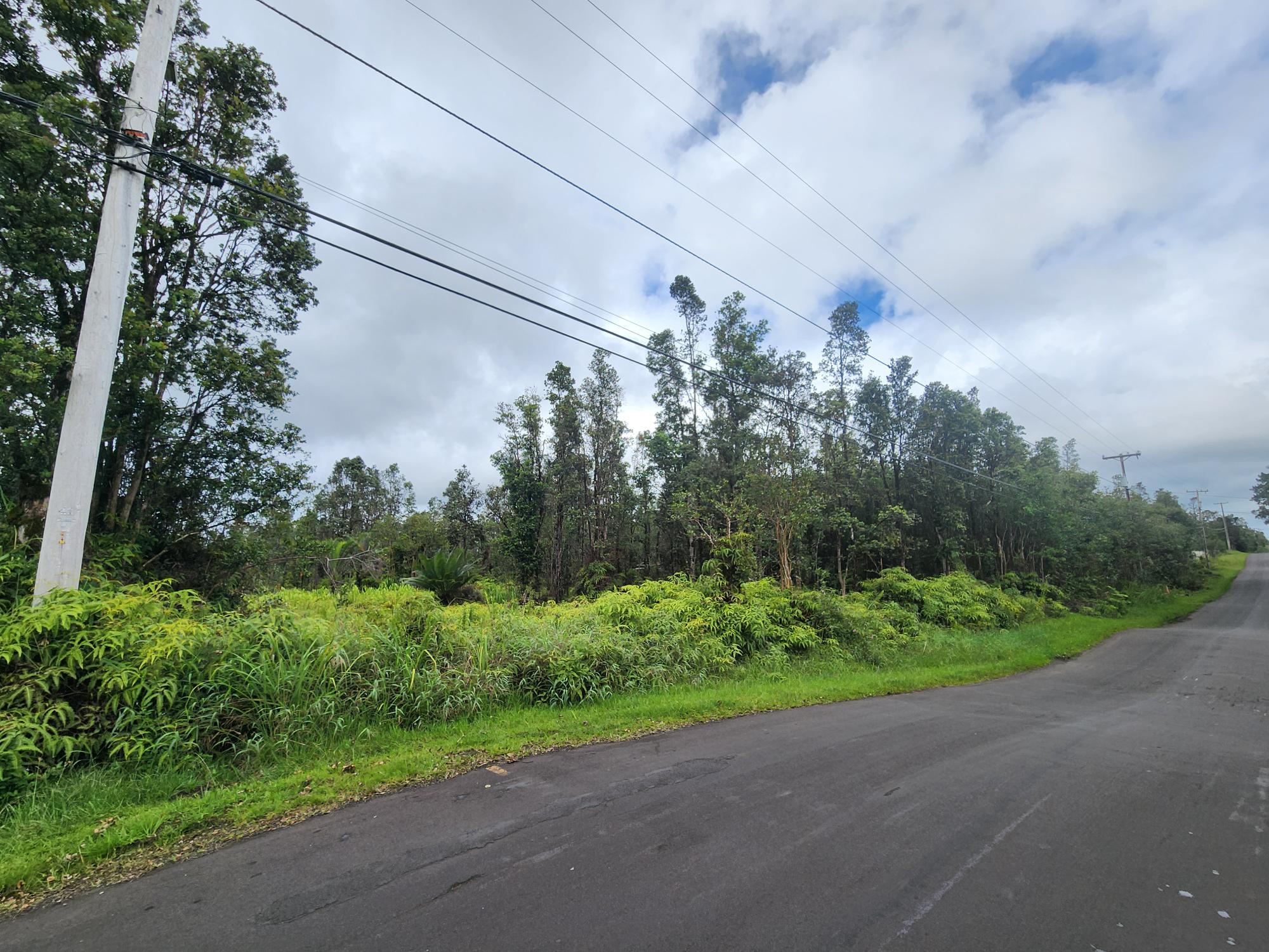 LEHUA ST