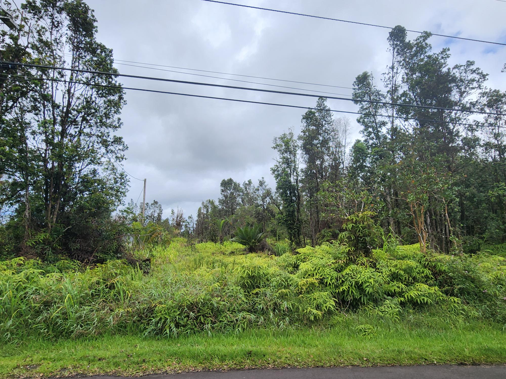 Lehua St Property Photo 3