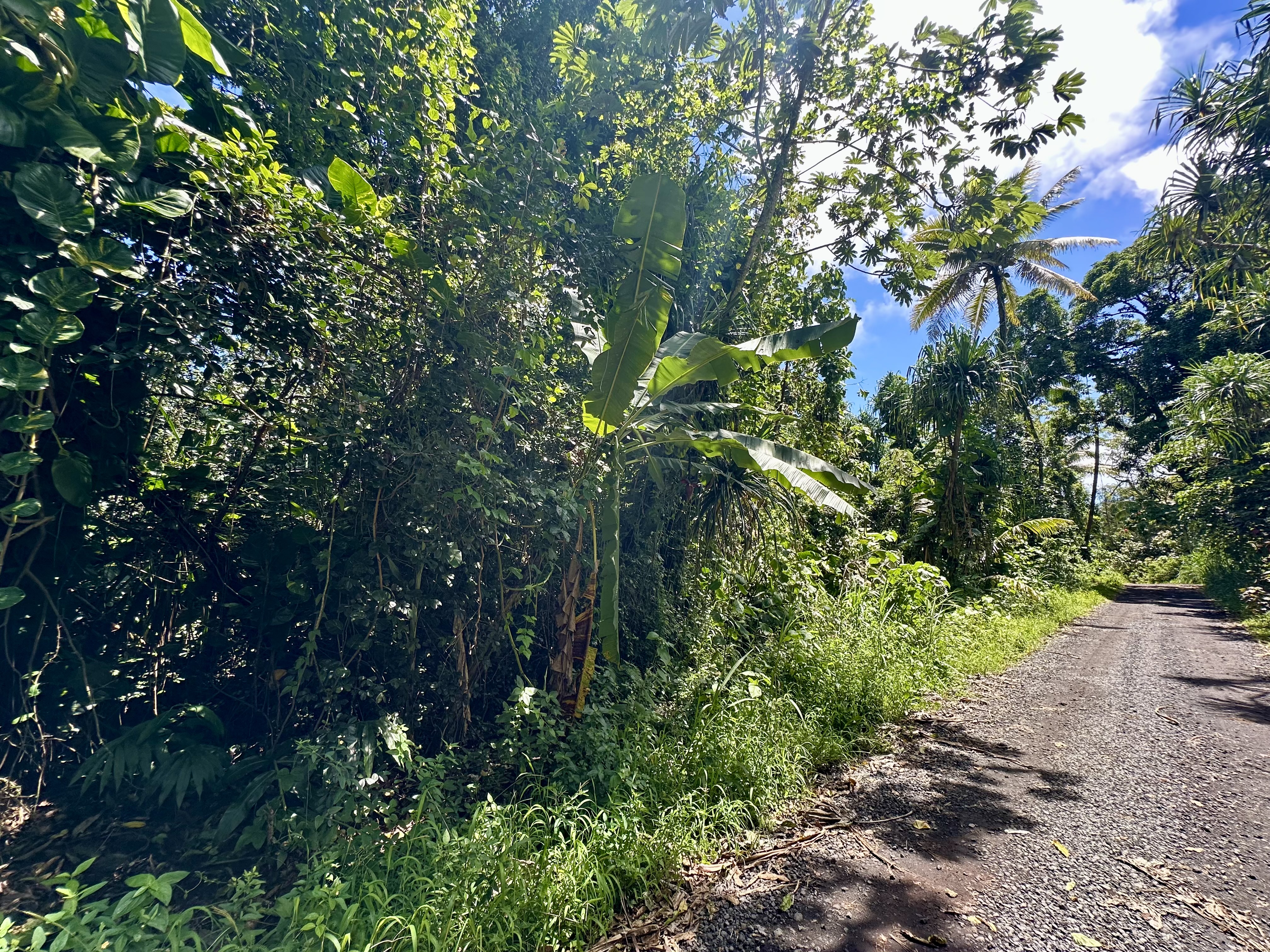 Papaya Farms Rd Property Photo 6