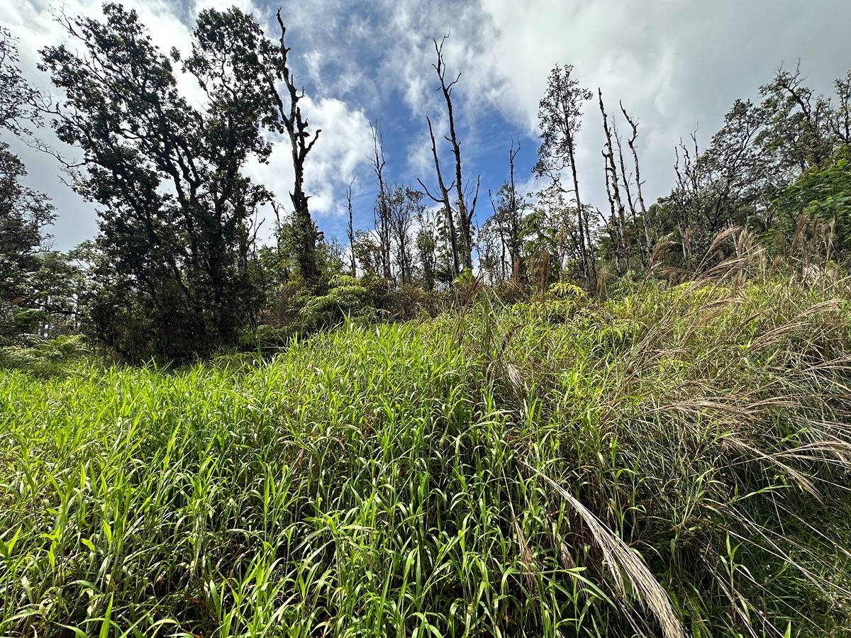 Road 3 (hopue) Property Photo 1