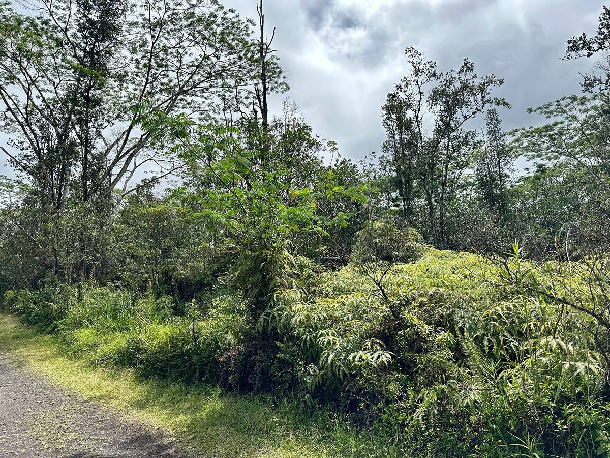 Road 3 (hopue) Property Photo 2