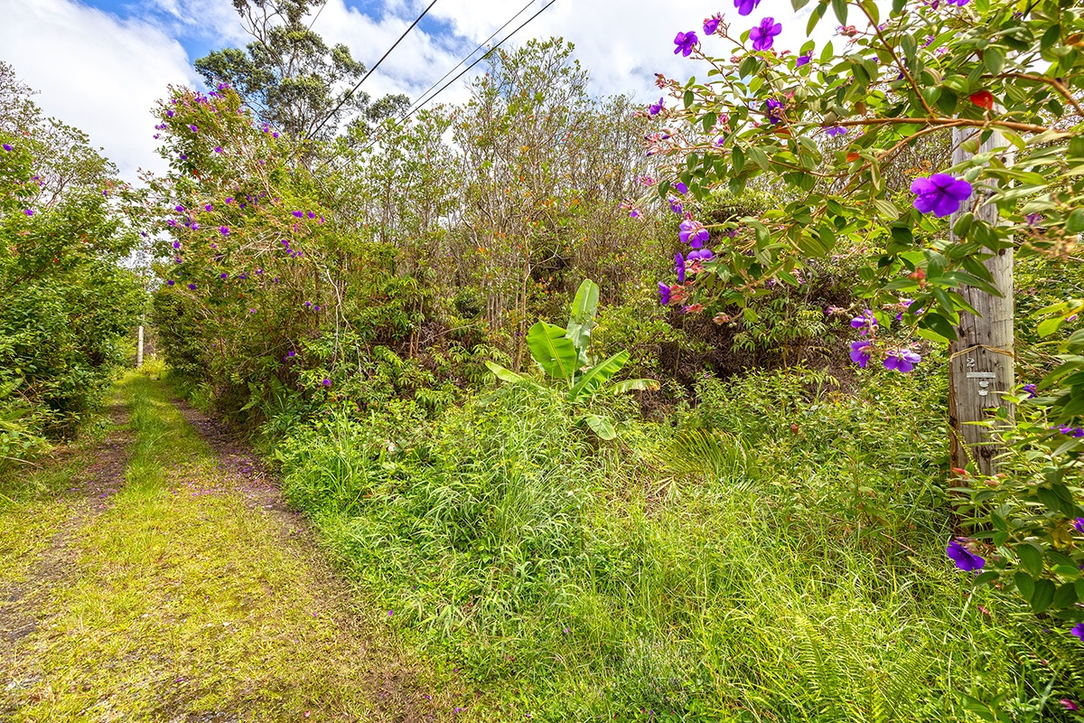 Keola Pl Property Photo 1
