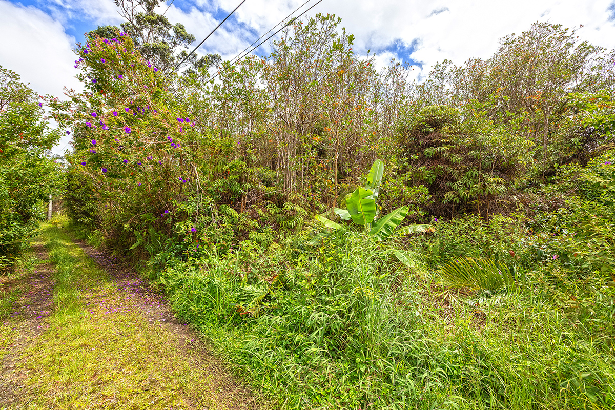 Keola Pl Property Photo 2
