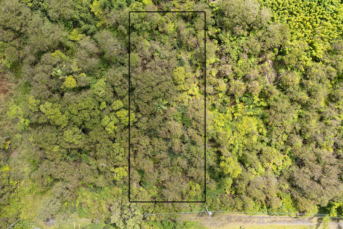 Keola Pl Property Photo 3