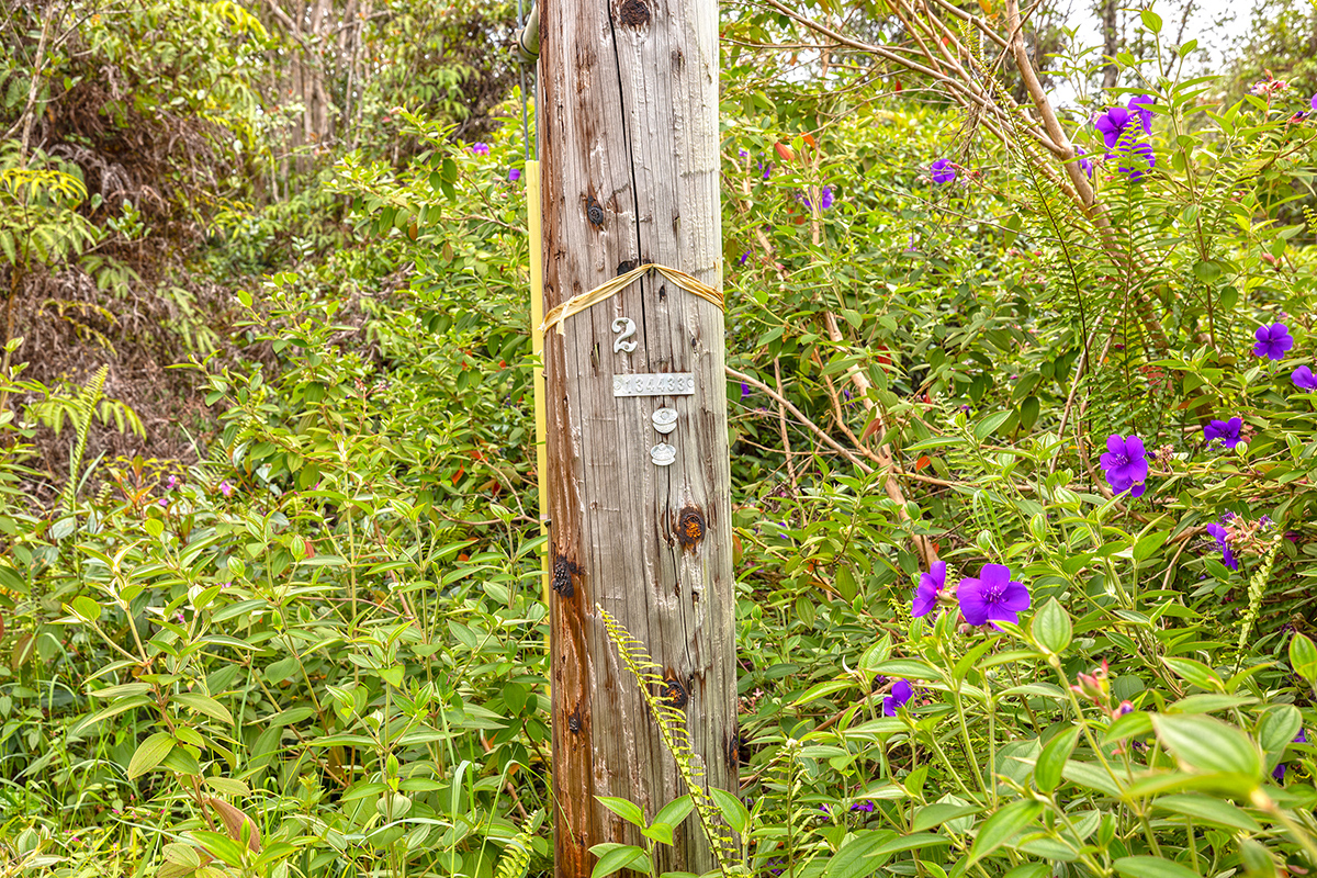 Keola Pl Property Photo 6