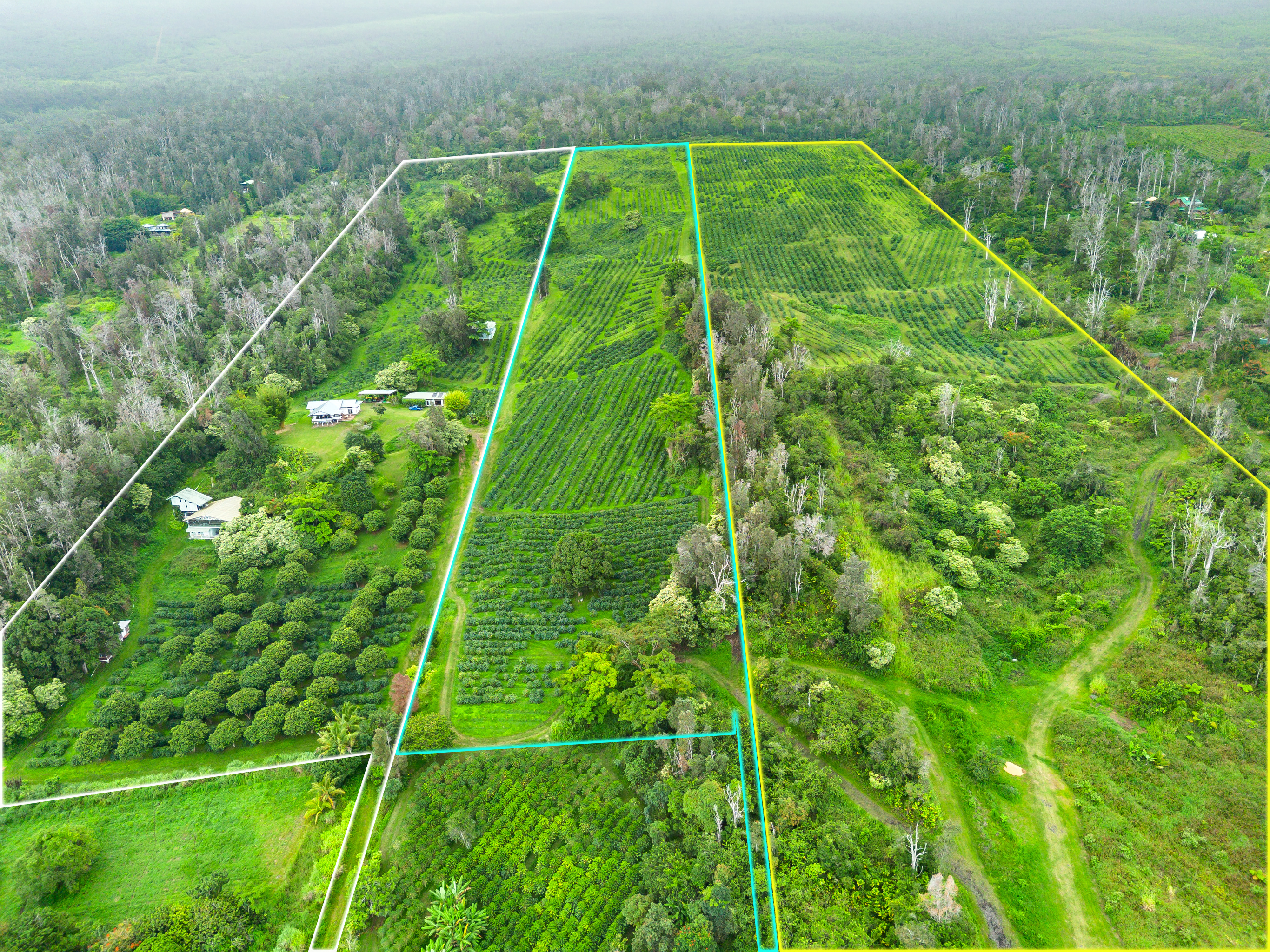87-2854 Hawaii Belt Rd Property Photo 1