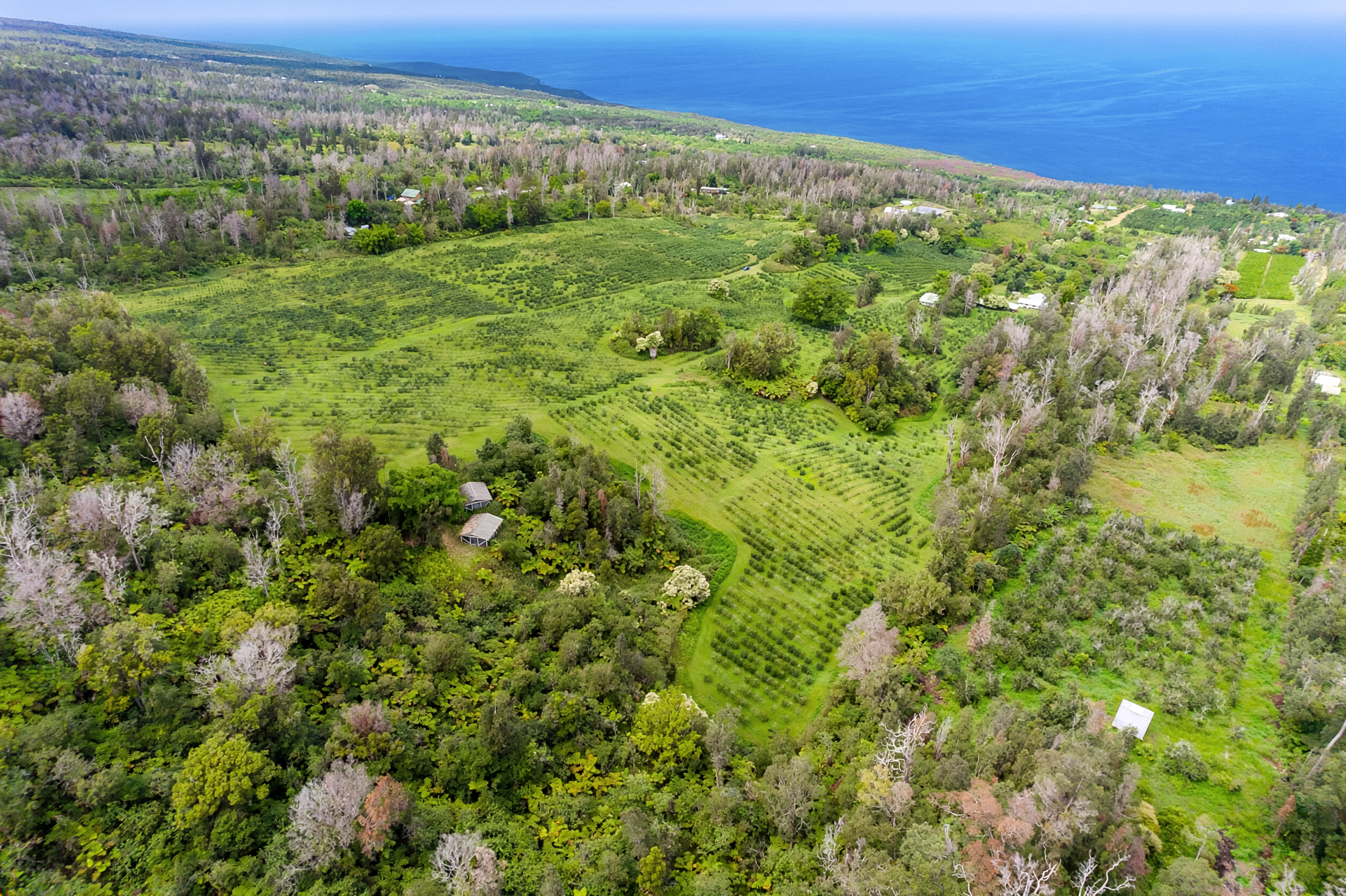 87-2854 Hawaii Belt Rd Property Photo 3