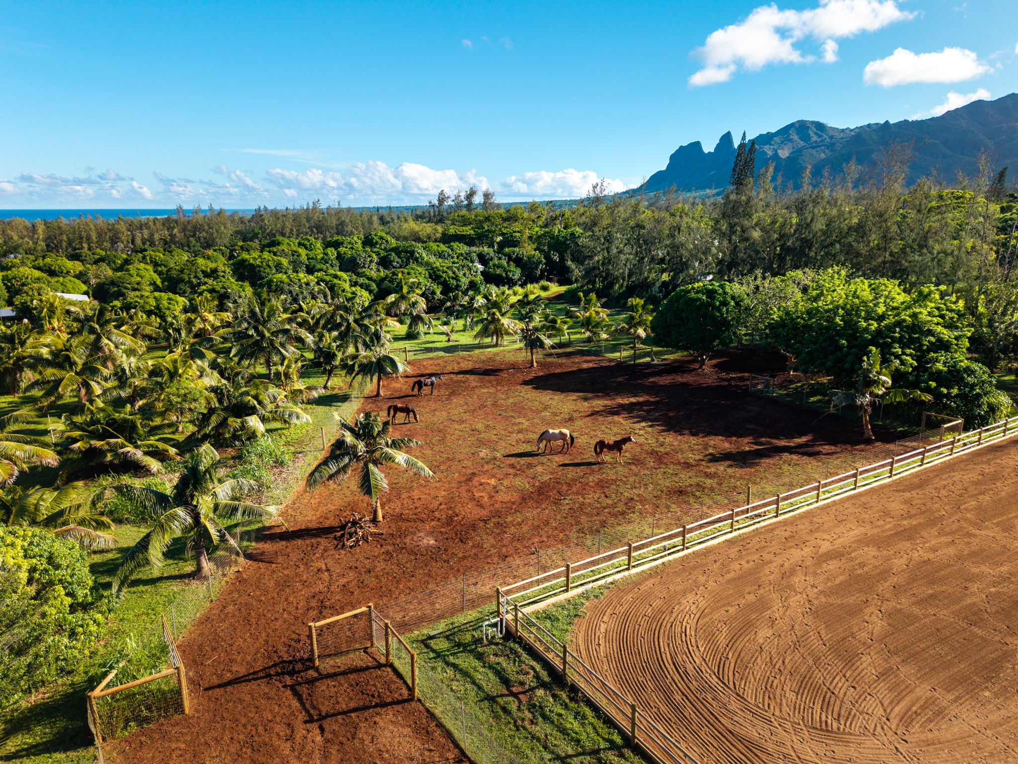 6020 Koolau Rd 0053 Property Photo 15