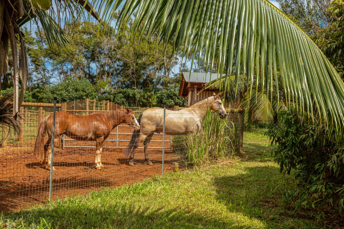 6020 Koolau Rd 0053 Property Photo 19