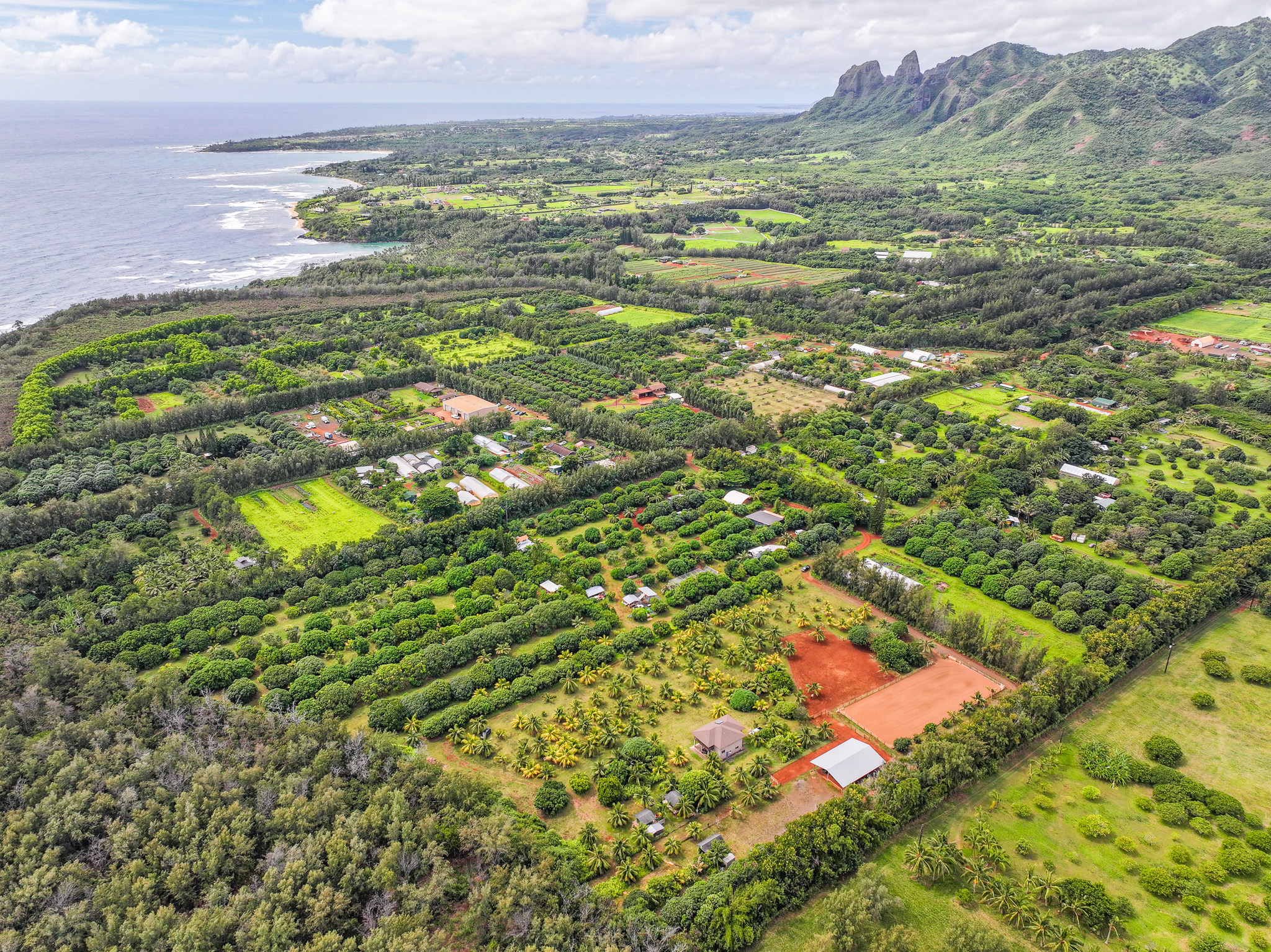 6020 Koolau Rd 0053 Property Photo 28