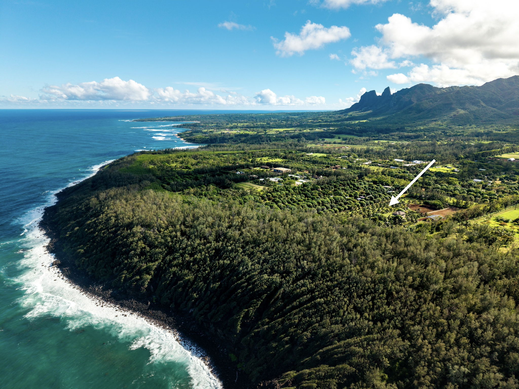 6020 Koolau Rd 0053 Property Photo 29