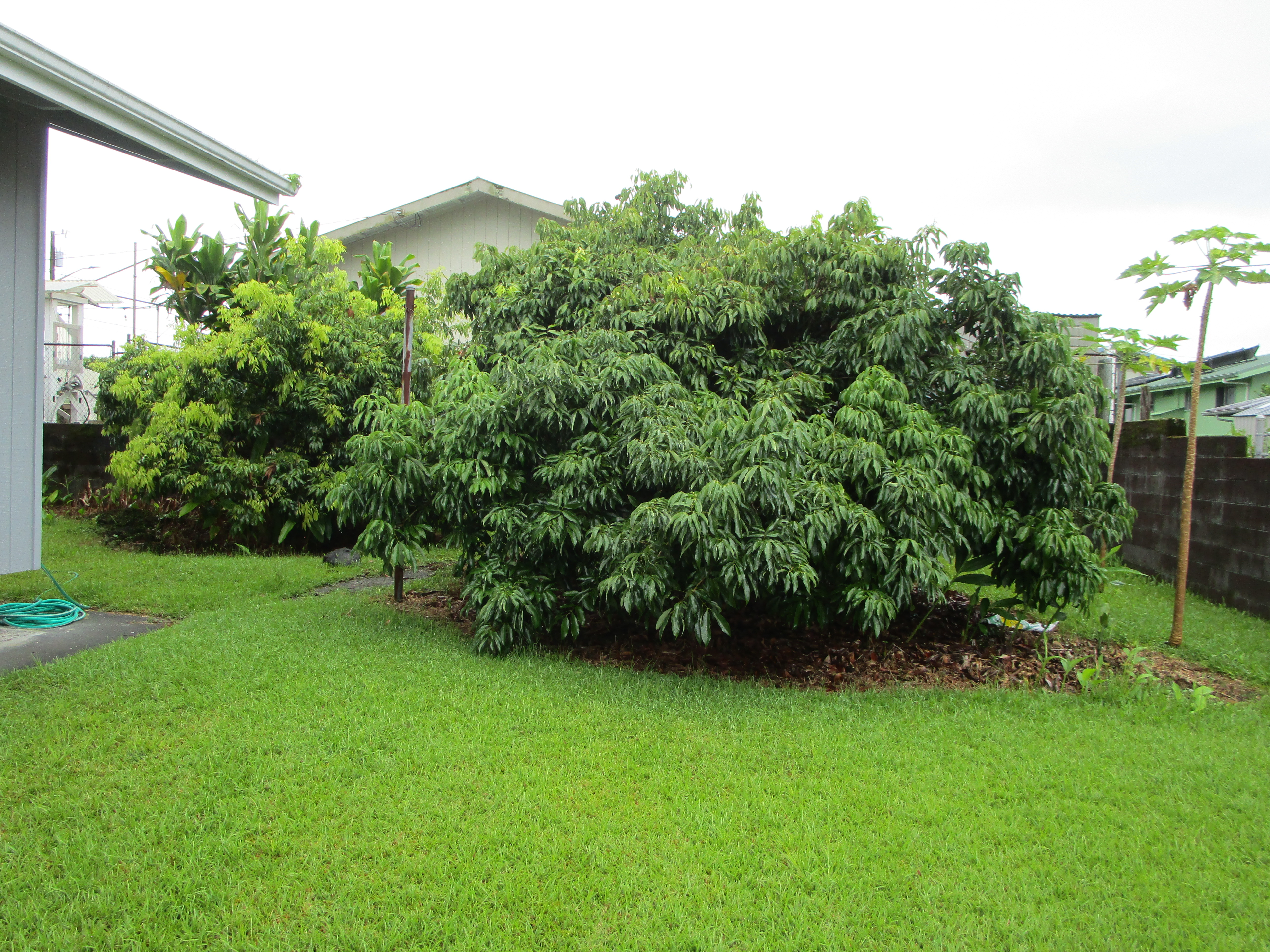 1052 Ahe St Property Photo 24