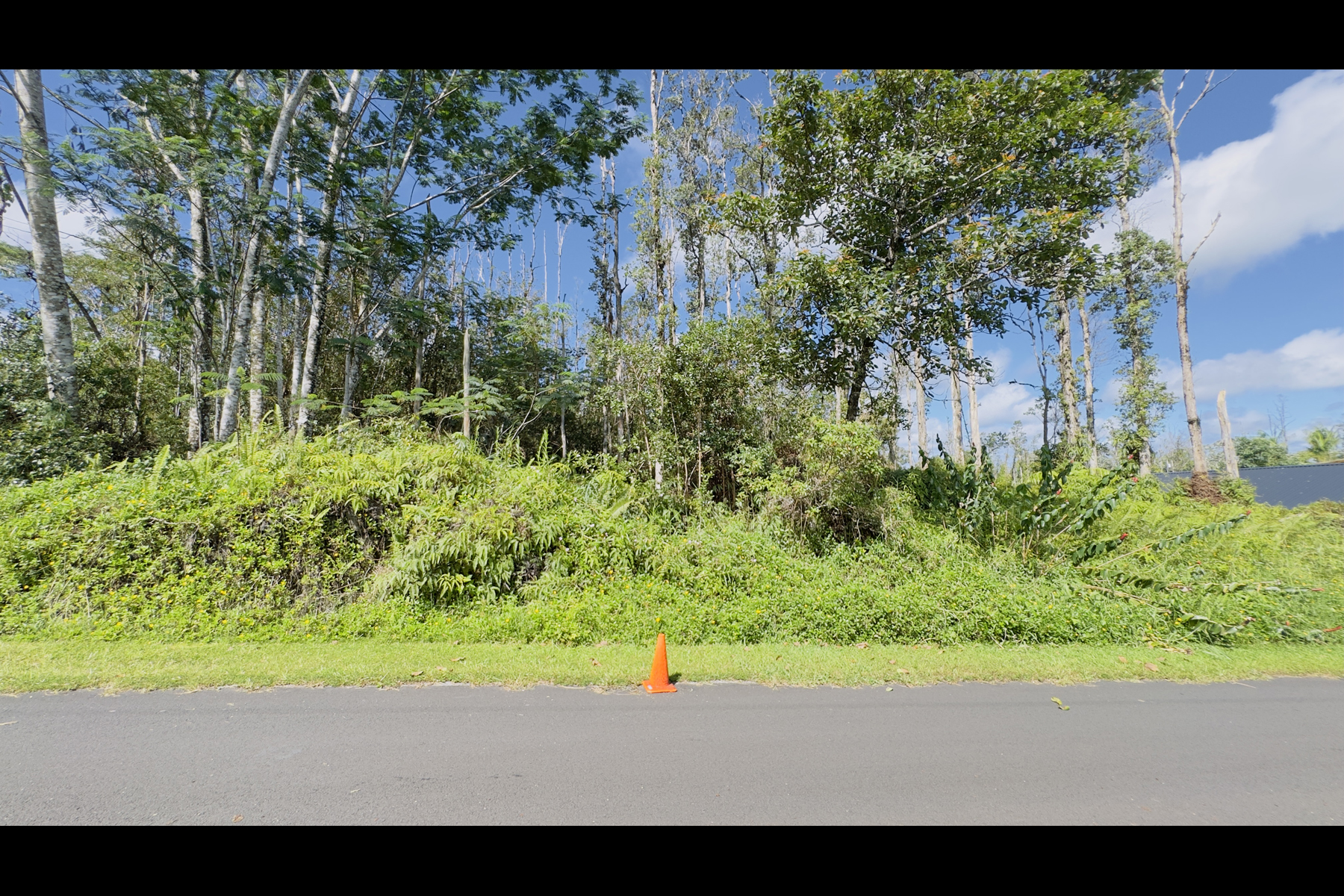 Coconut Dr Property Photo 2