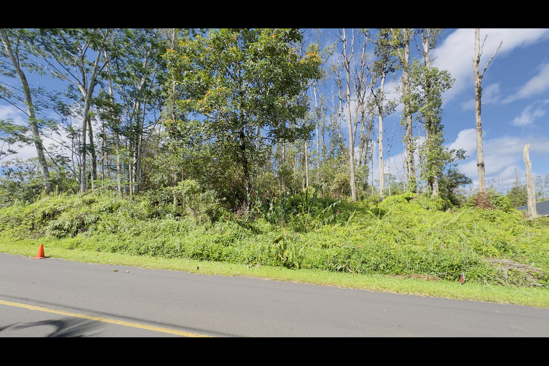 Coconut Dr Property Photo 5
