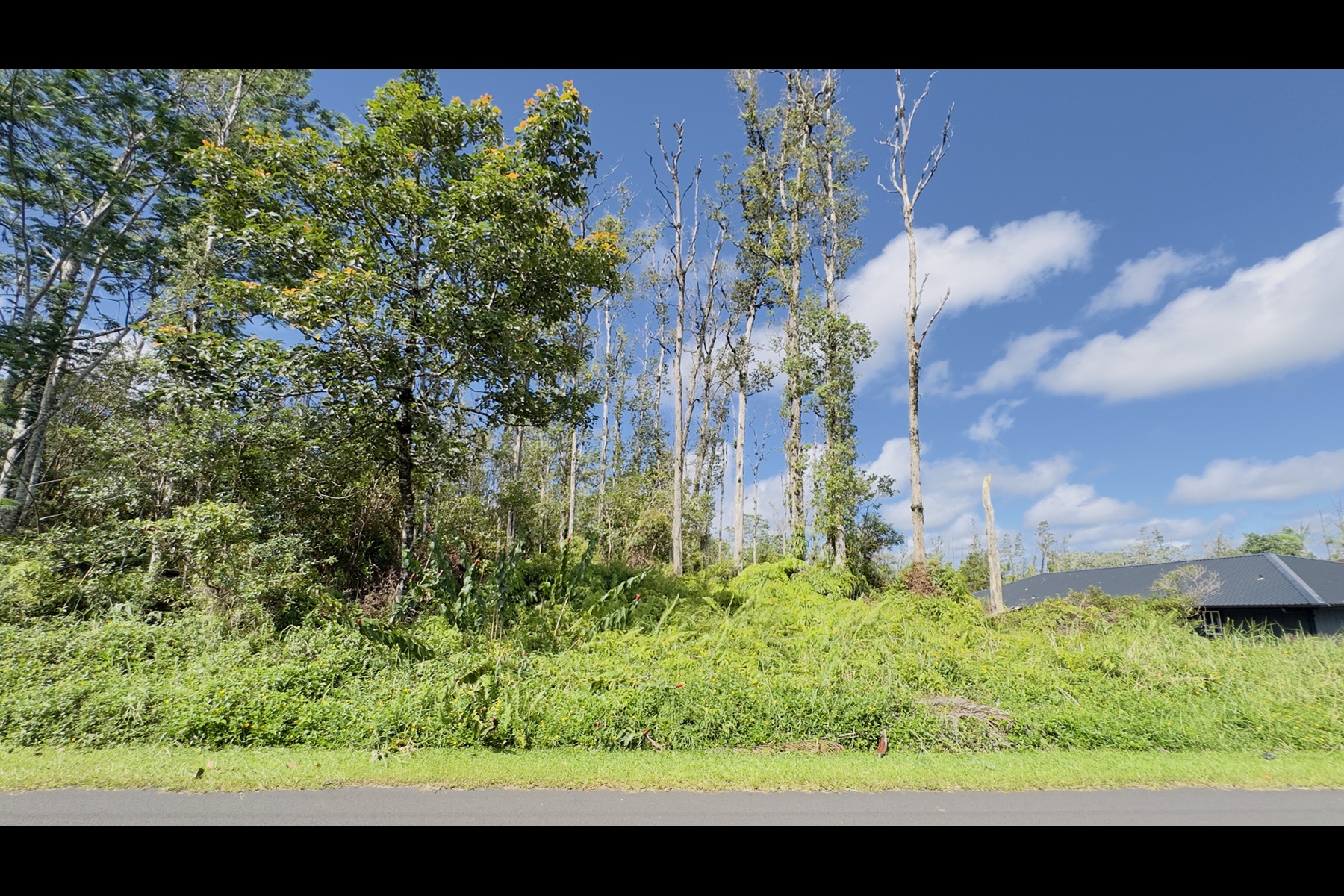 Coconut Dr Property Photo 6