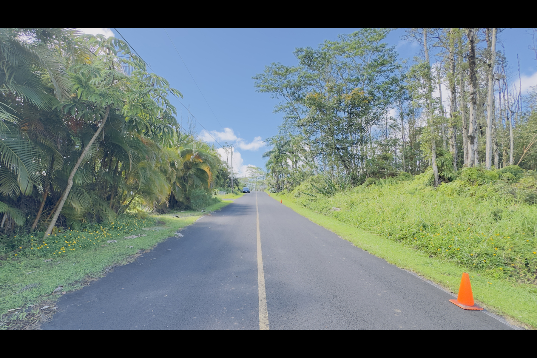 Coconut Dr Property Photo 8