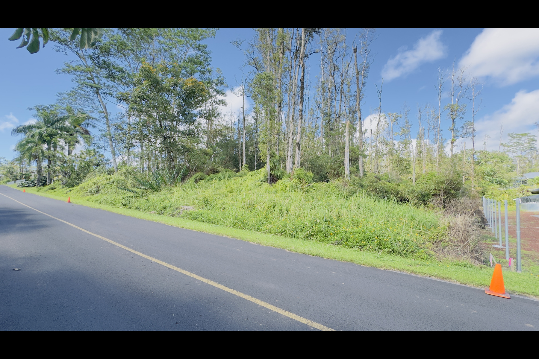 Coconut Dr Property Photo 12