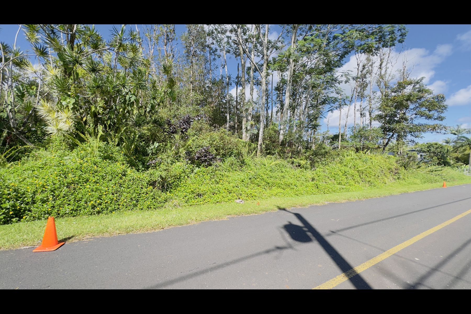 Coconut Dr Property Photo 3