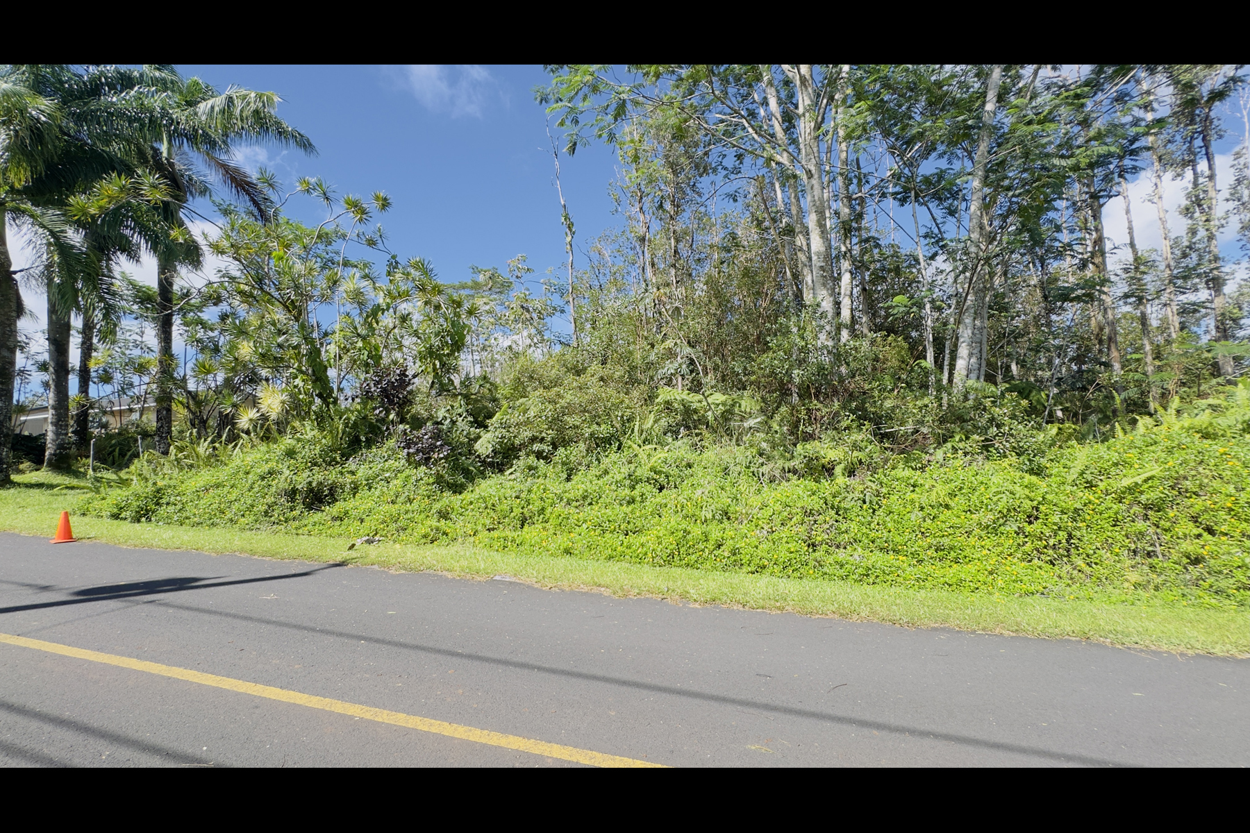 Coconut Dr Property Photo 5