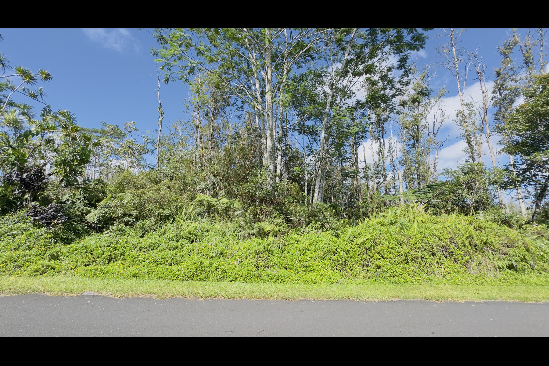 Coconut Dr Property Photo 6