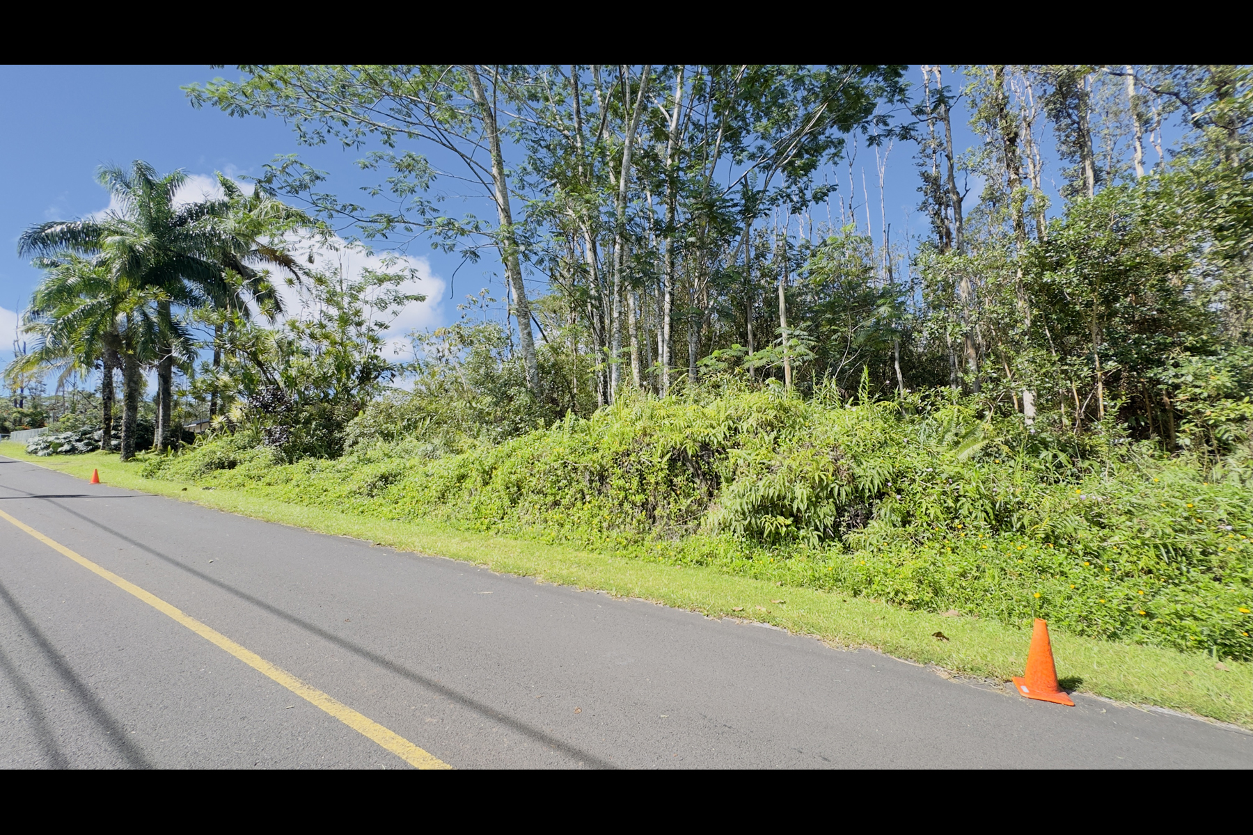 Coconut Dr Property Photo 9