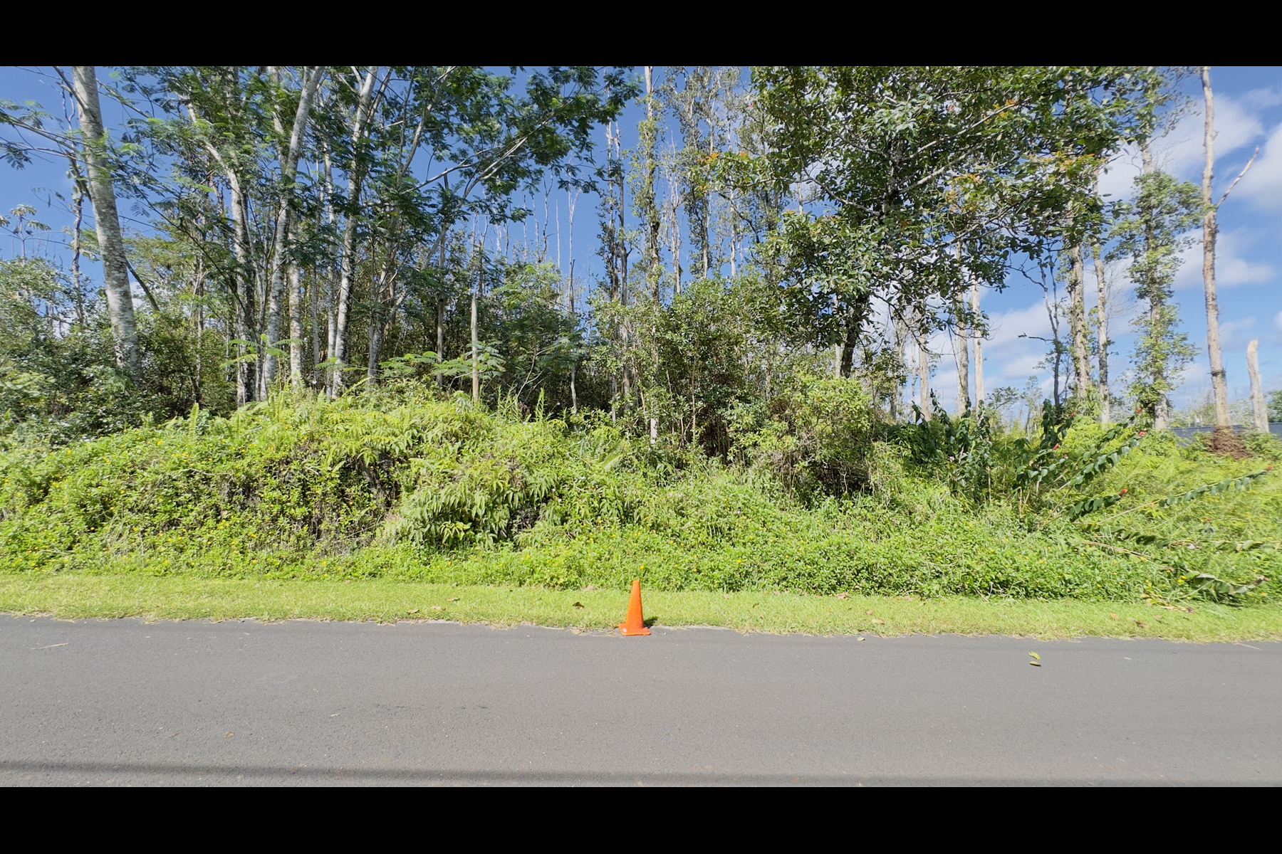 Coconut Dr Property Photo 10