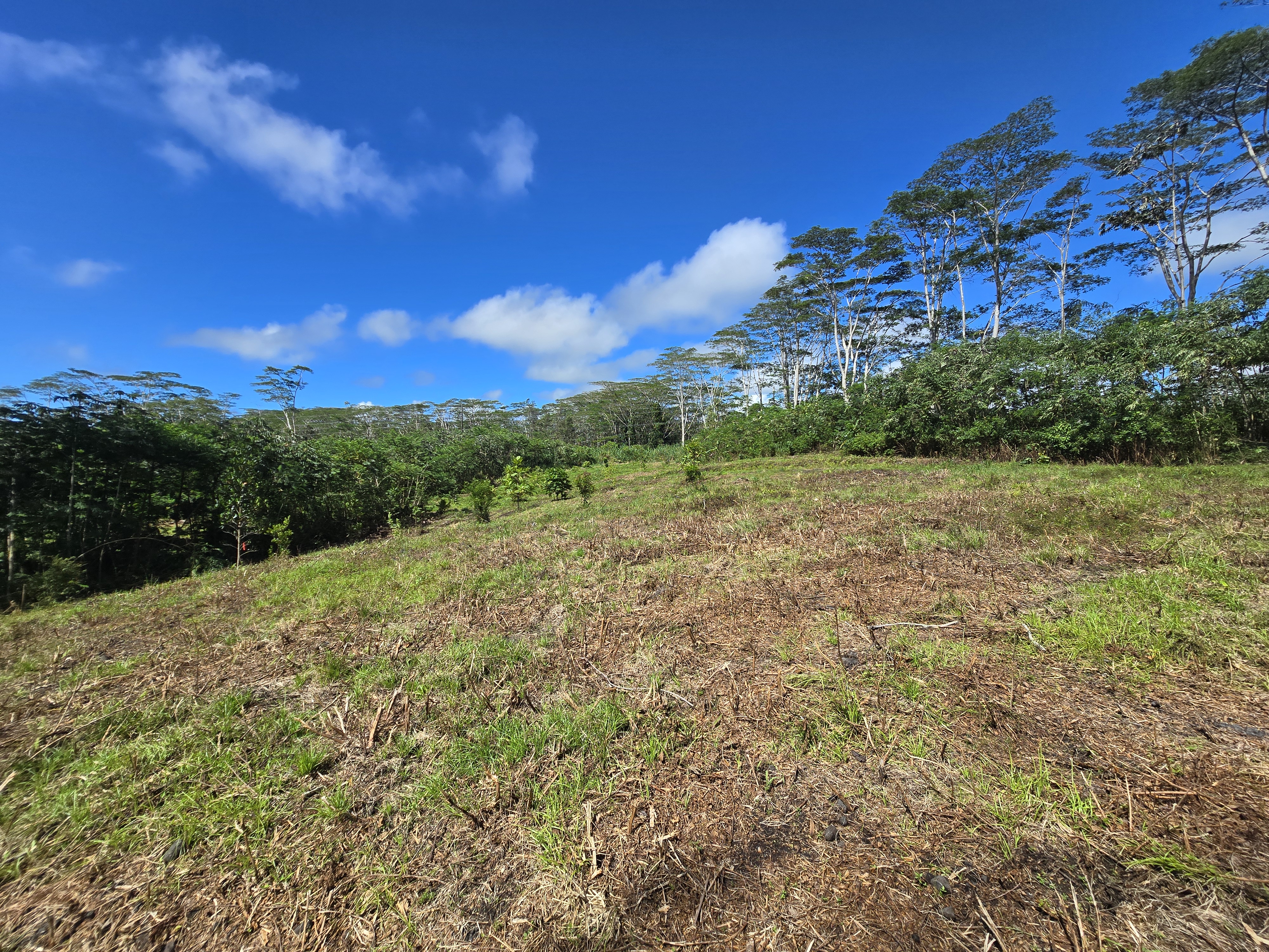 Kapoho Rd Property Photo 3