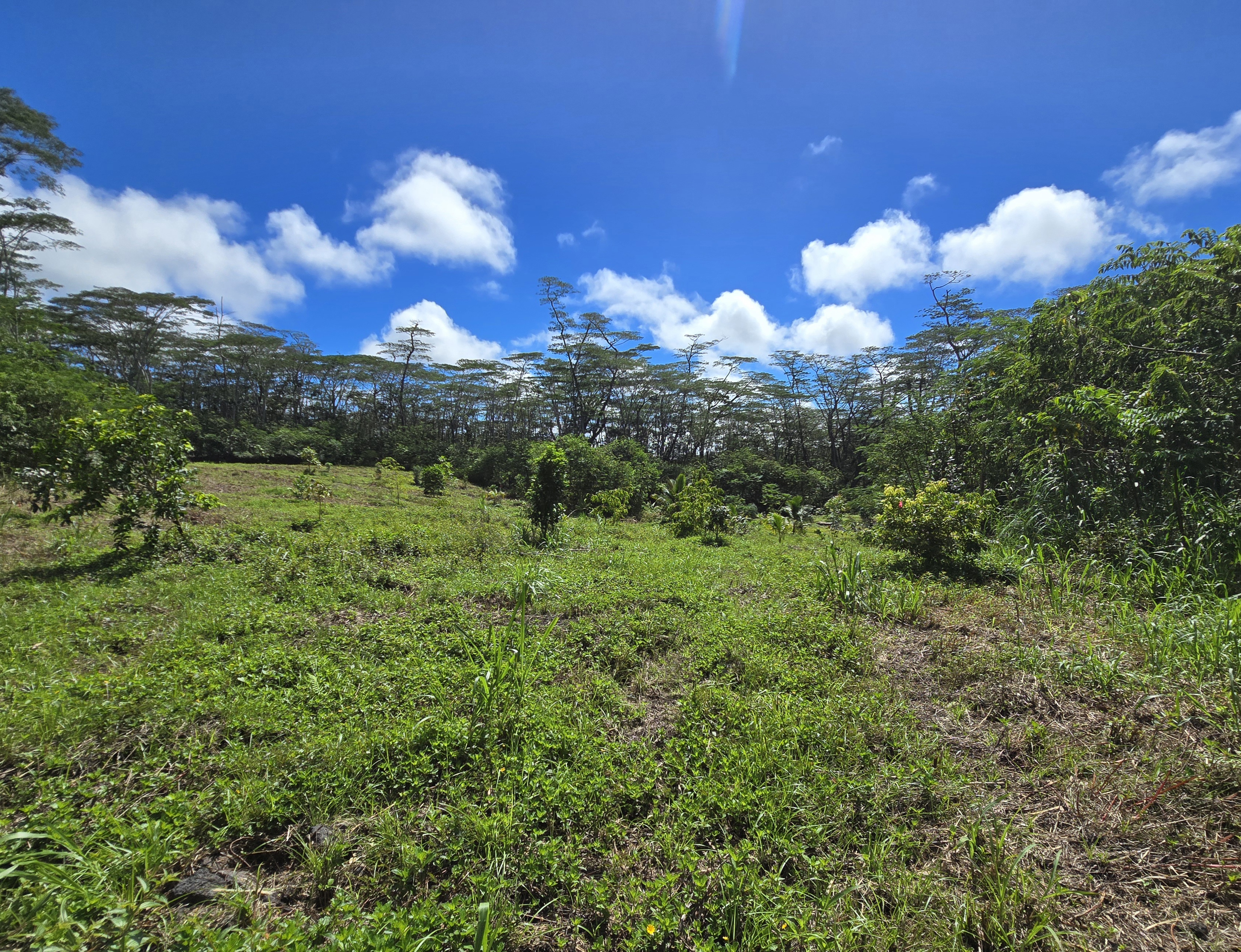 Kapoho Rd Property Photo 4