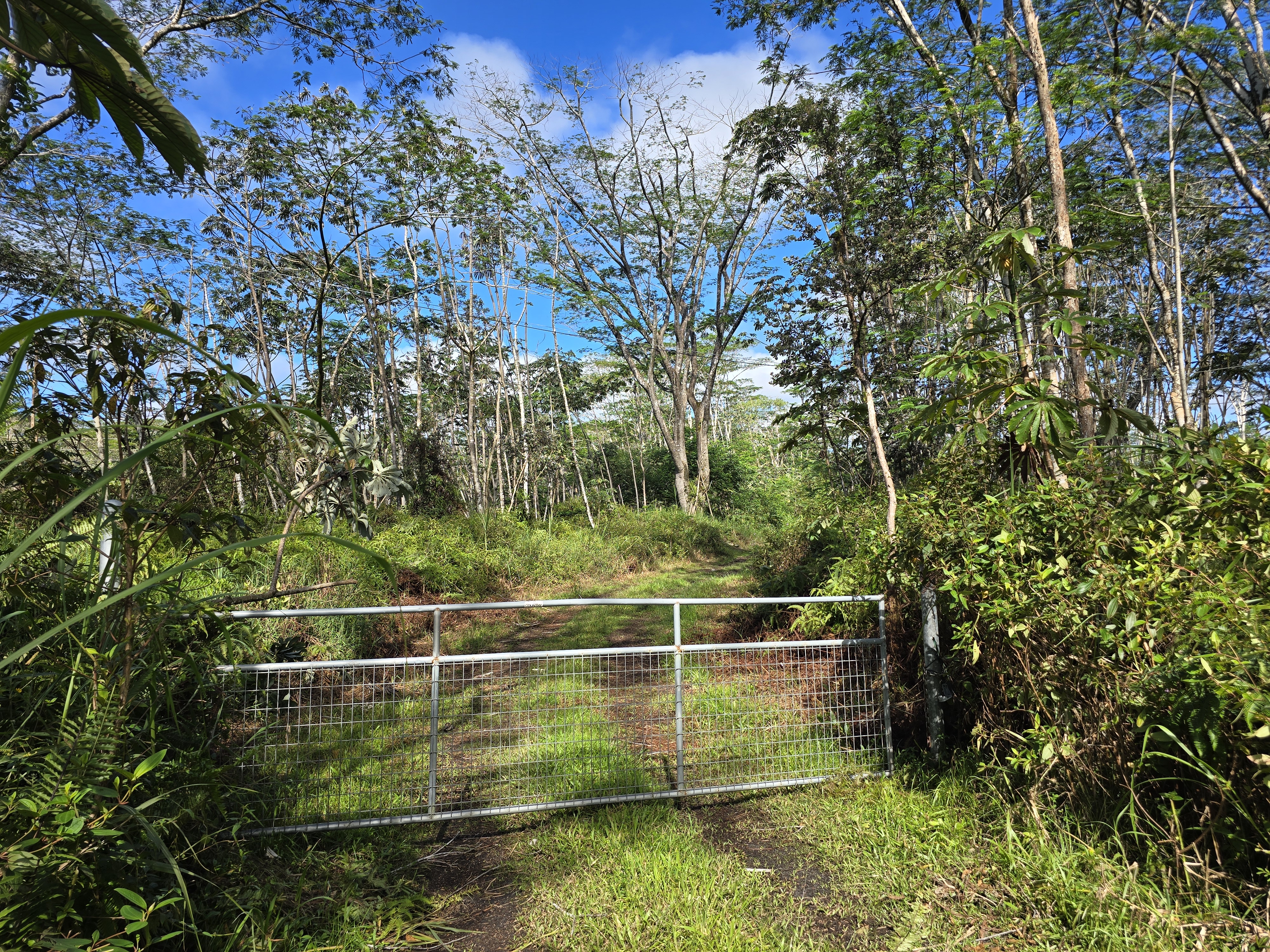 Kapoho Rd Property Photo 5