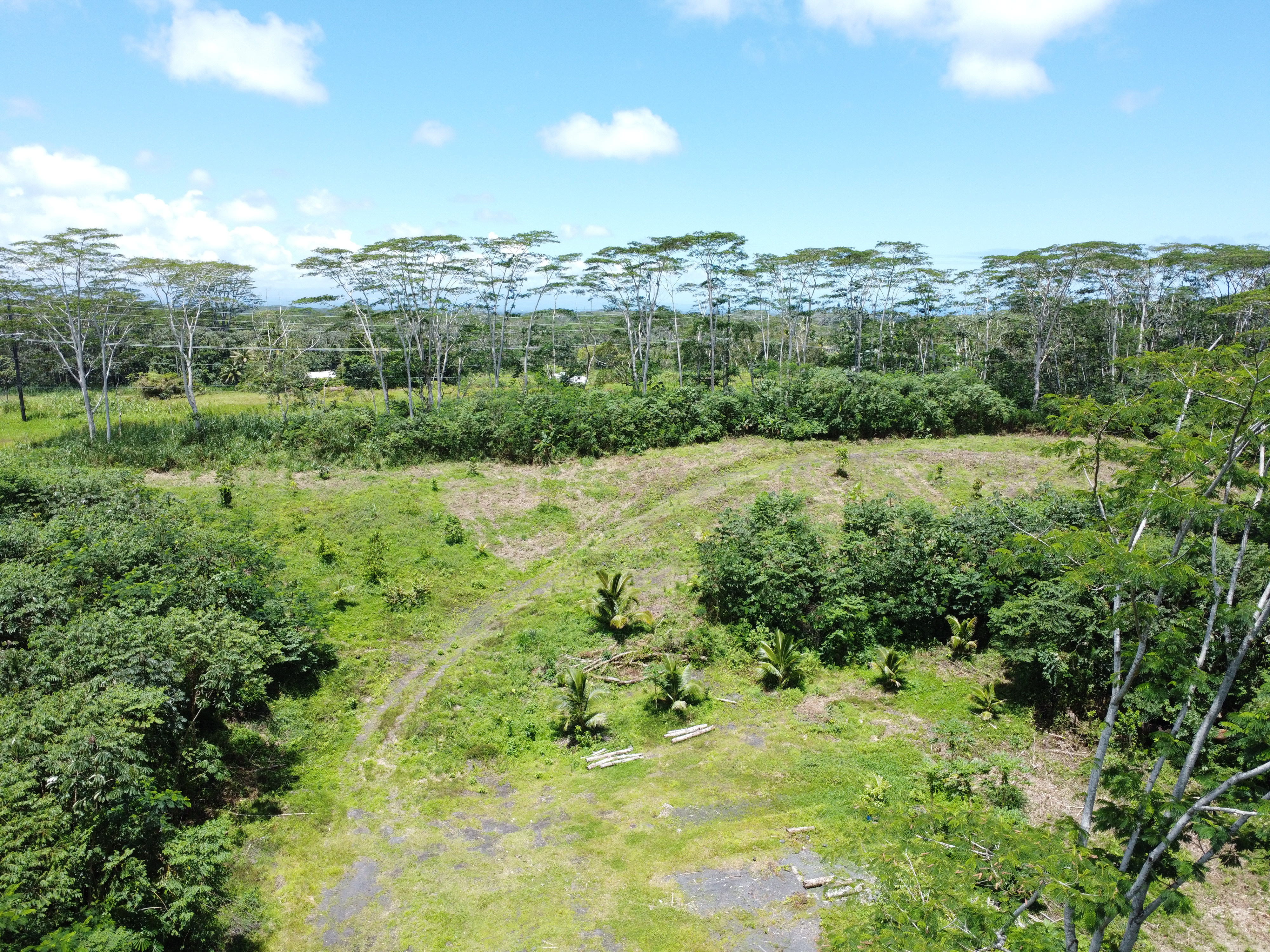 Kapoho Rd Property Photo 6