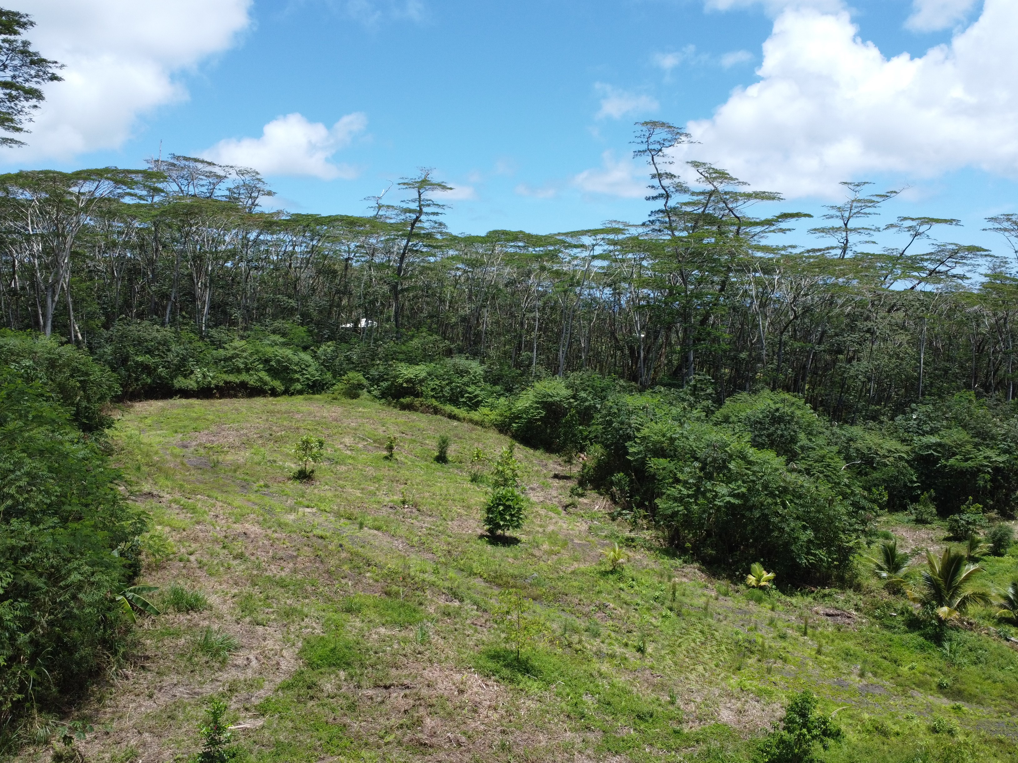Kapoho Rd Property Photo 7